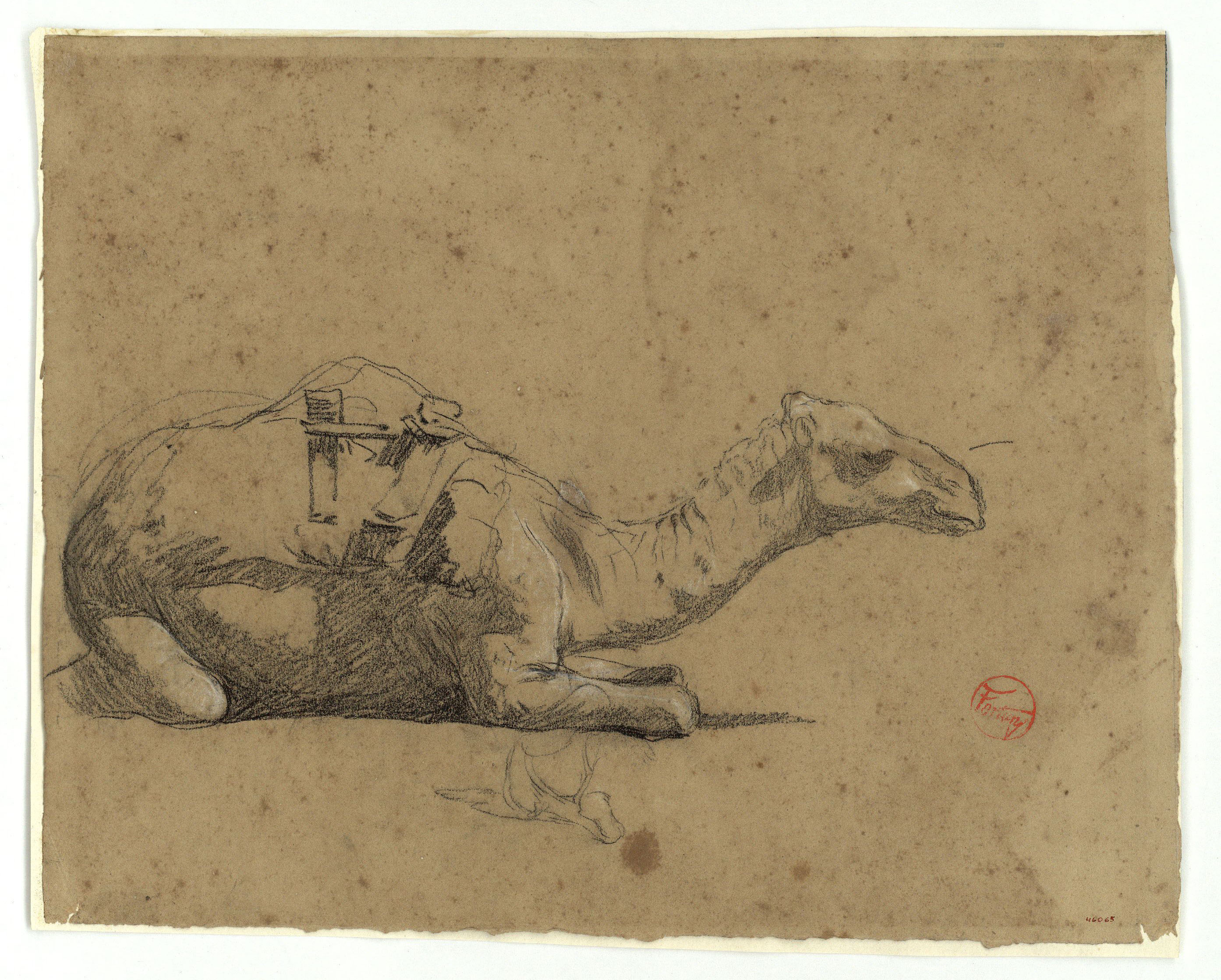 Marià Fortuny - Estudi per a l'aquarel·la ?El cameller? - Cap a 1862-1865