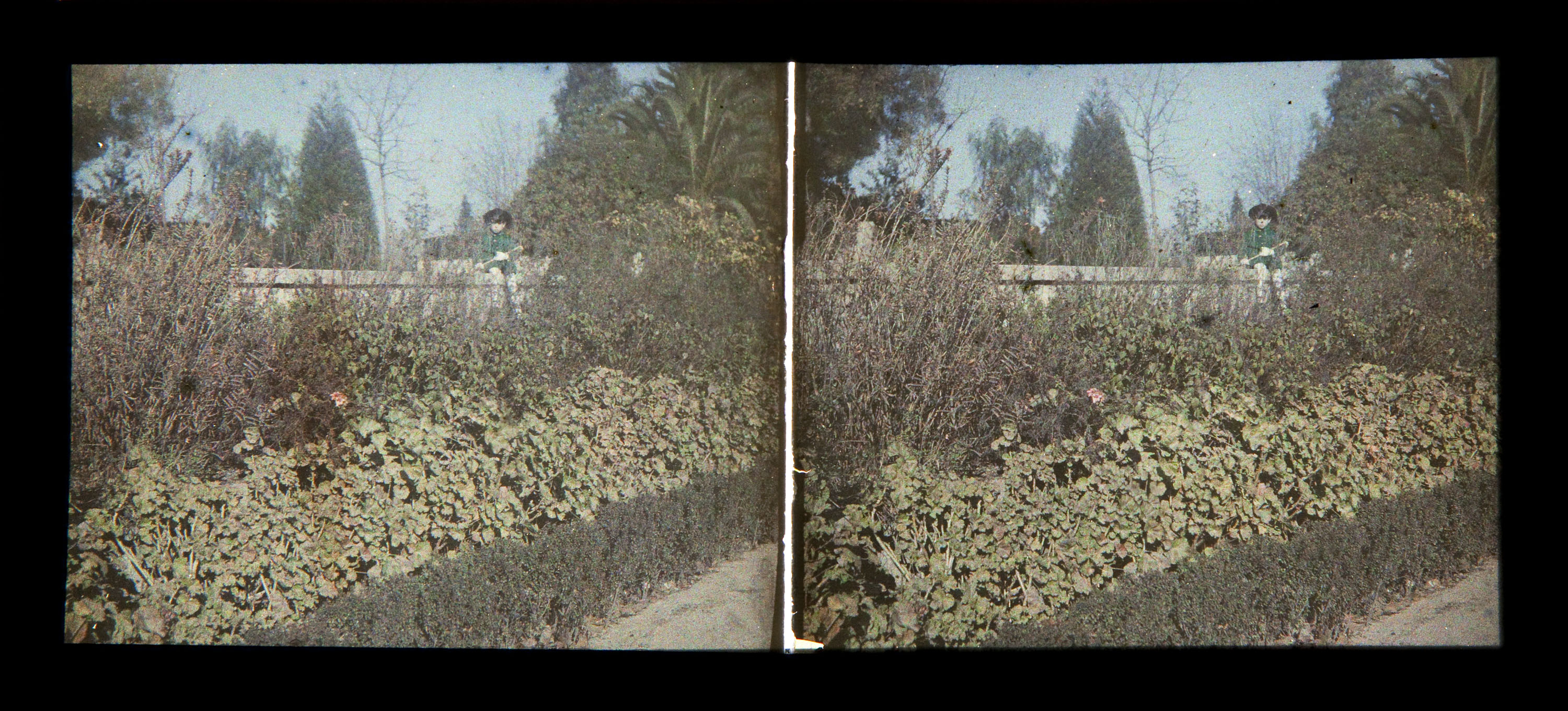 image for: Francesc Carrera Bou - Nena en un jardí - Cap a 1926