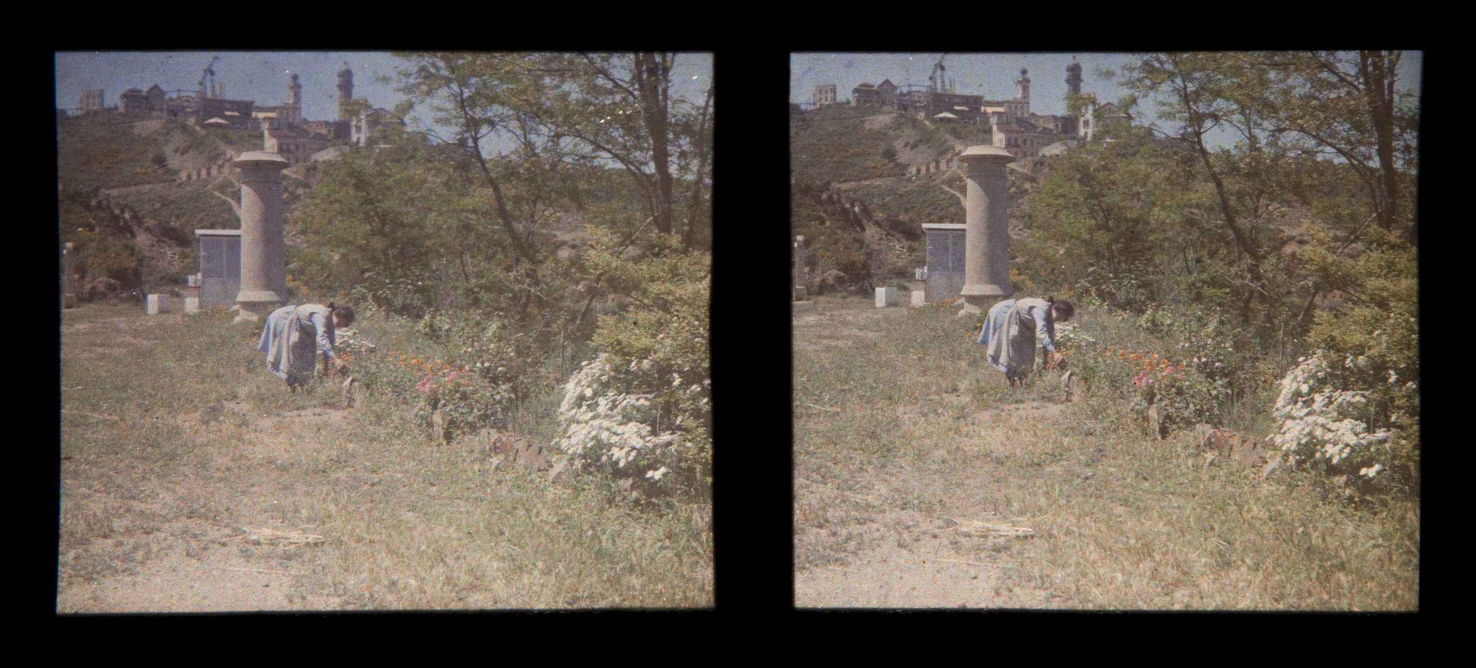 Francesc Carrera Bou - Dona collint flors - Cap a 1922-1926 image for: Francesc Carrera Bou - Dona collint flors - Cap a 1922-1926