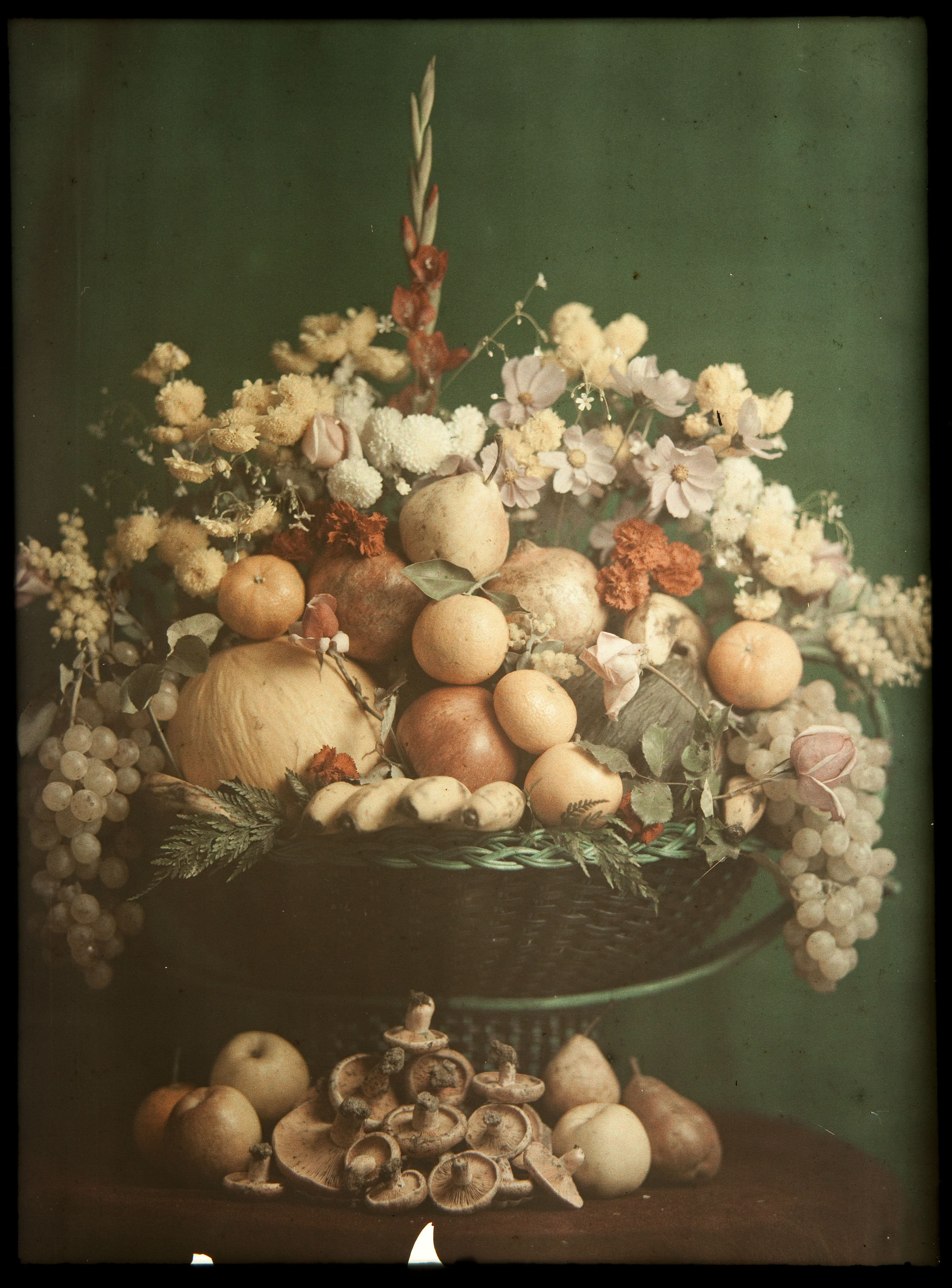 image for: Francesc Carrera Bou - Natura morta amb fruita, flors i bolets - Cap a 1922-1926