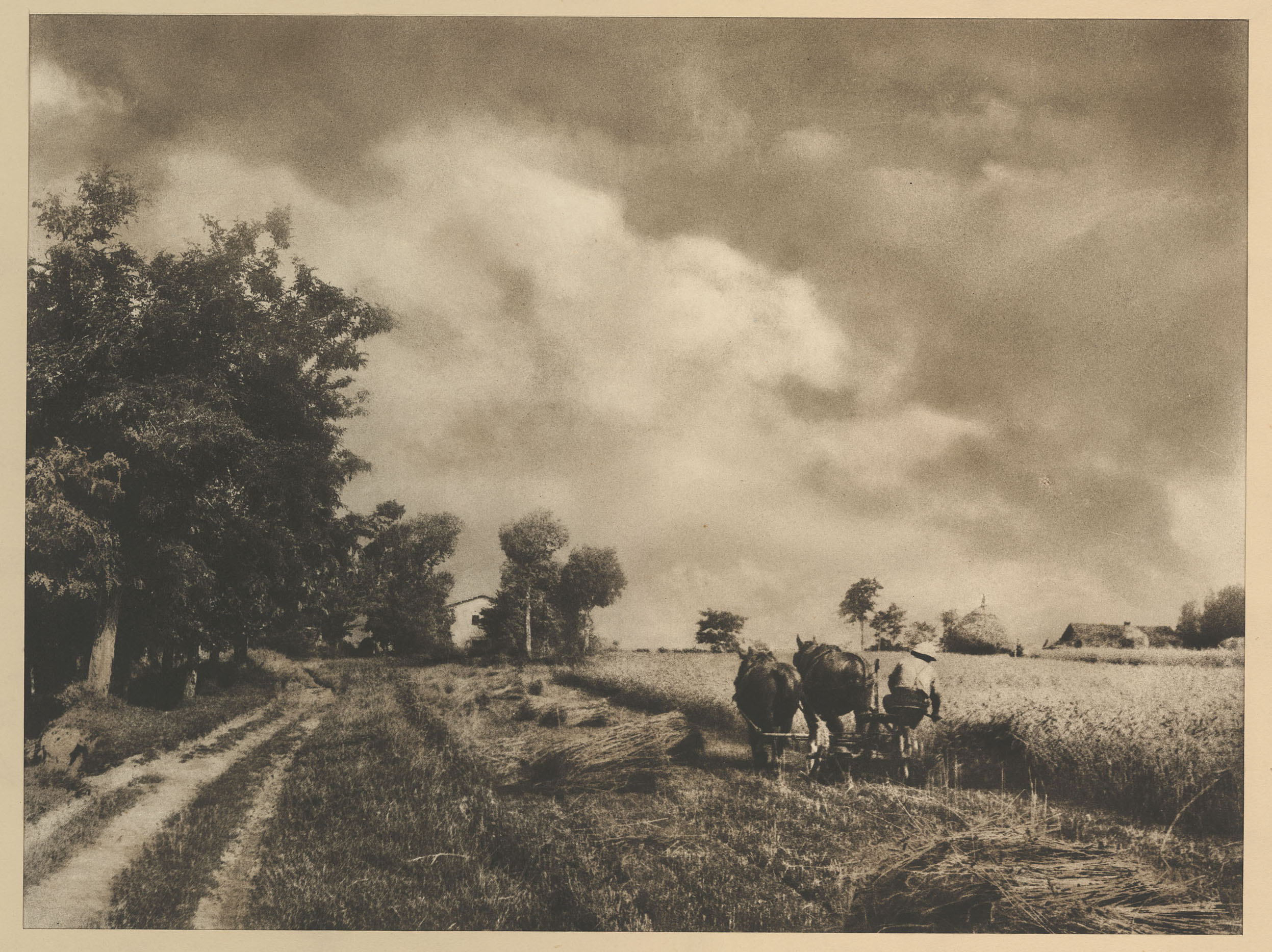 image for: Josep Maria Casals i Ariet - Camperol segant - No datat