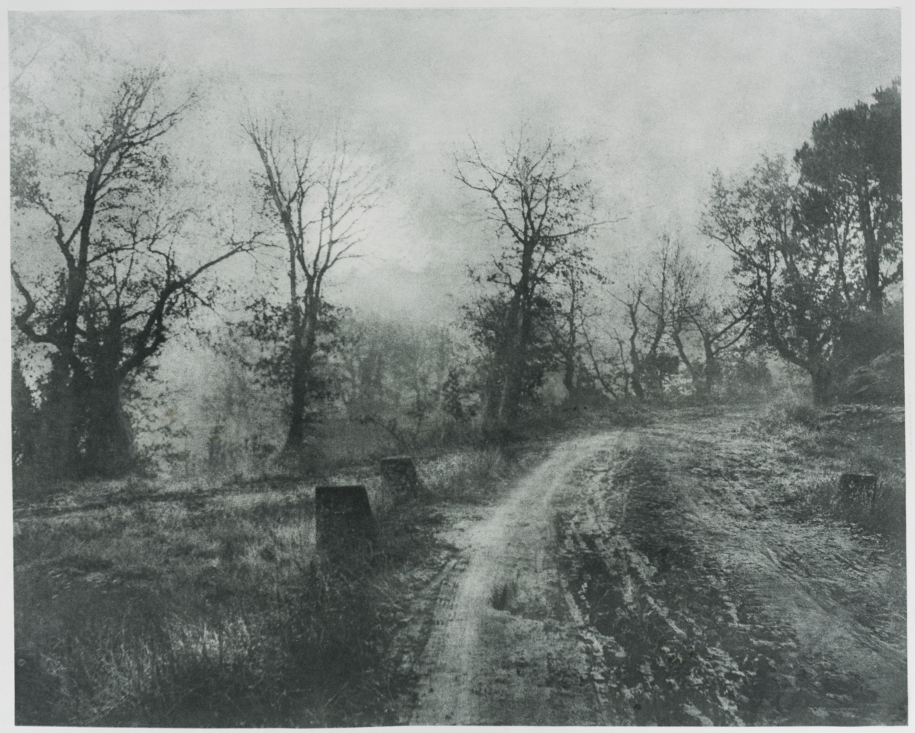 image for: Josep Maria Casals i Ariet - Paisatge - No datat