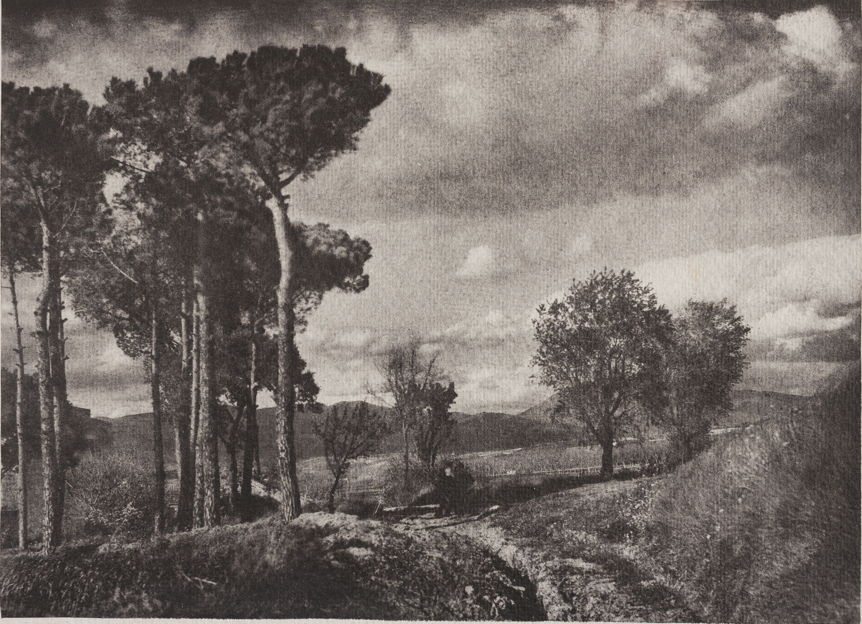 image for: Josep Maria Casals i Ariet - Paisatge - No datat