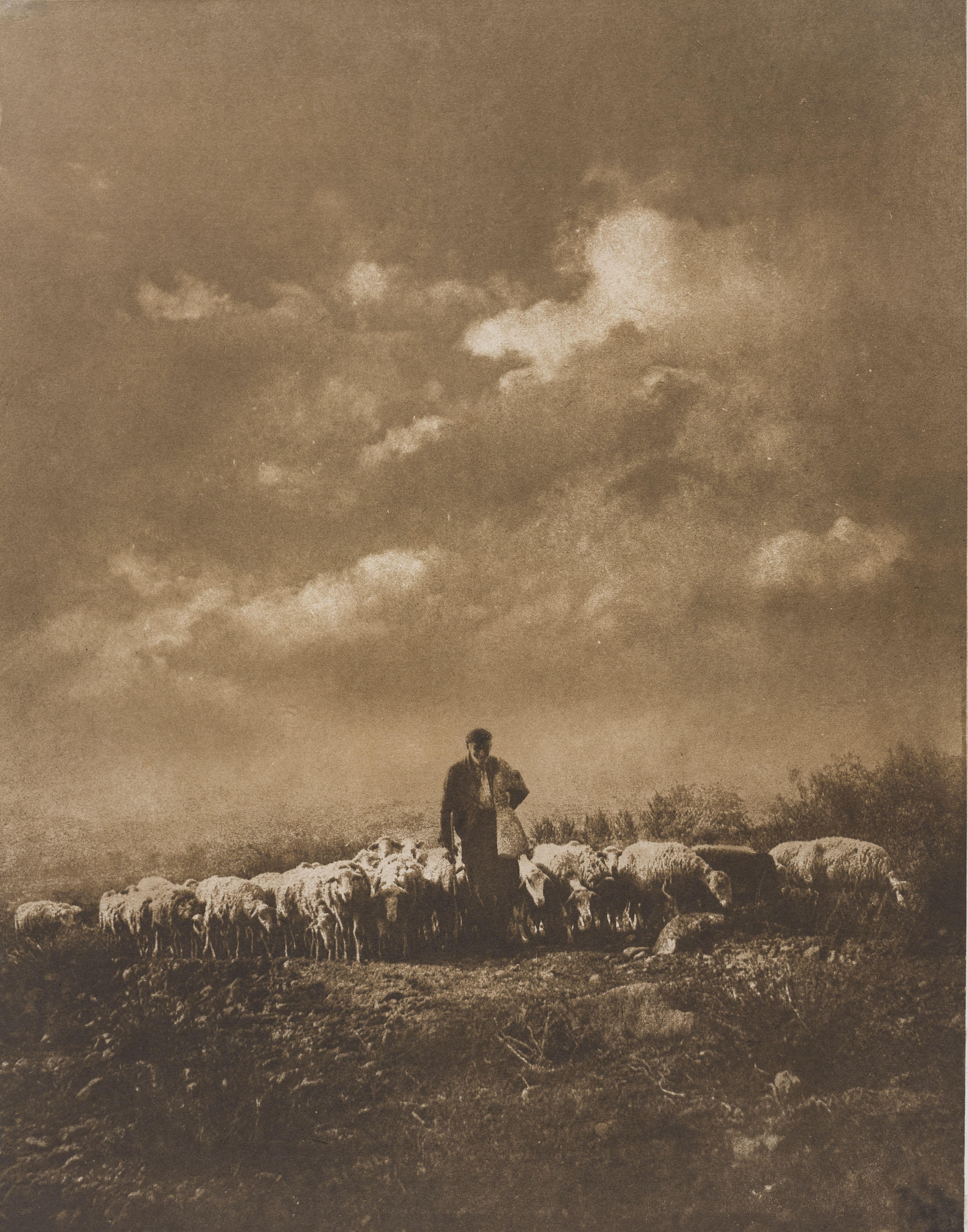 Josep Maria Casals i Ariet - Pastor amb ramat de bens - No datat image for: Josep Maria Casals i Ariet - Pastor amb ramat de bens - No datat