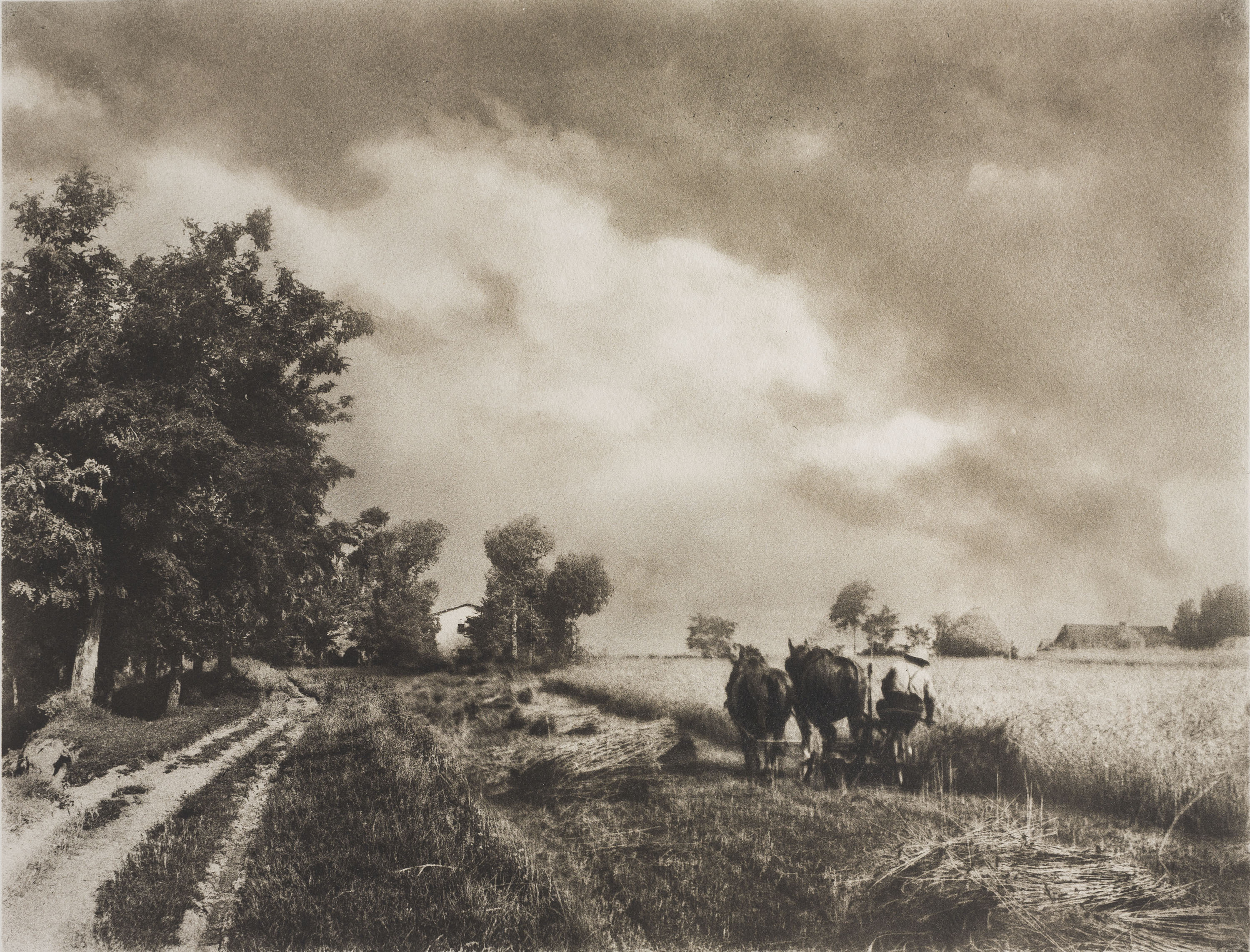 Josep Maria Casals i Ariet - Camperol segant - No datat image for: Josep Maria Casals i Ariet - Camperol segant - No datat