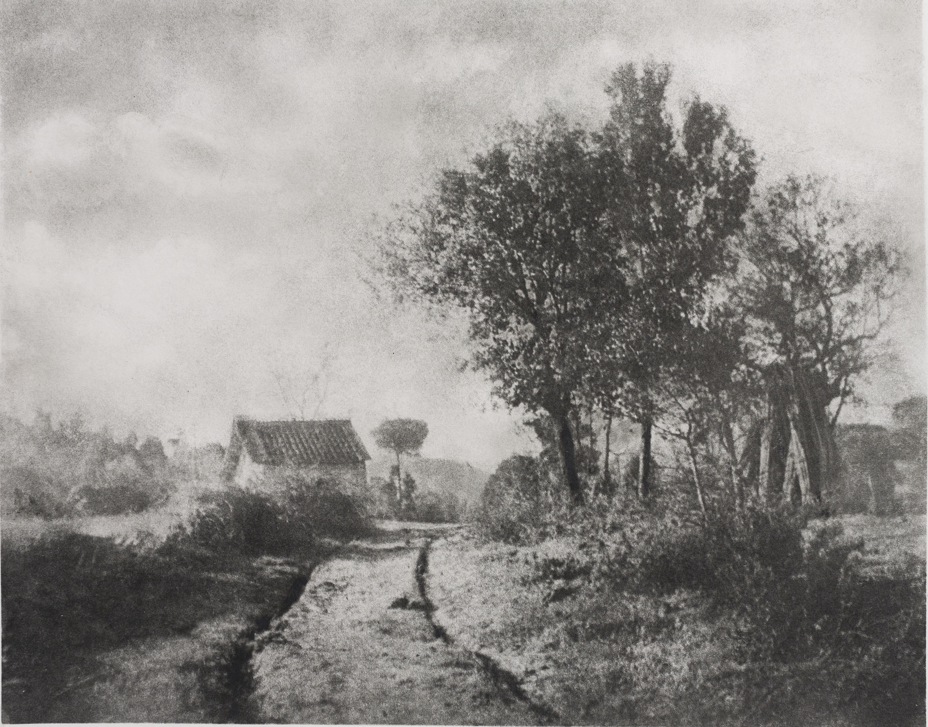 image for: Josep Maria Casals i Ariet - Paisatge - No datat