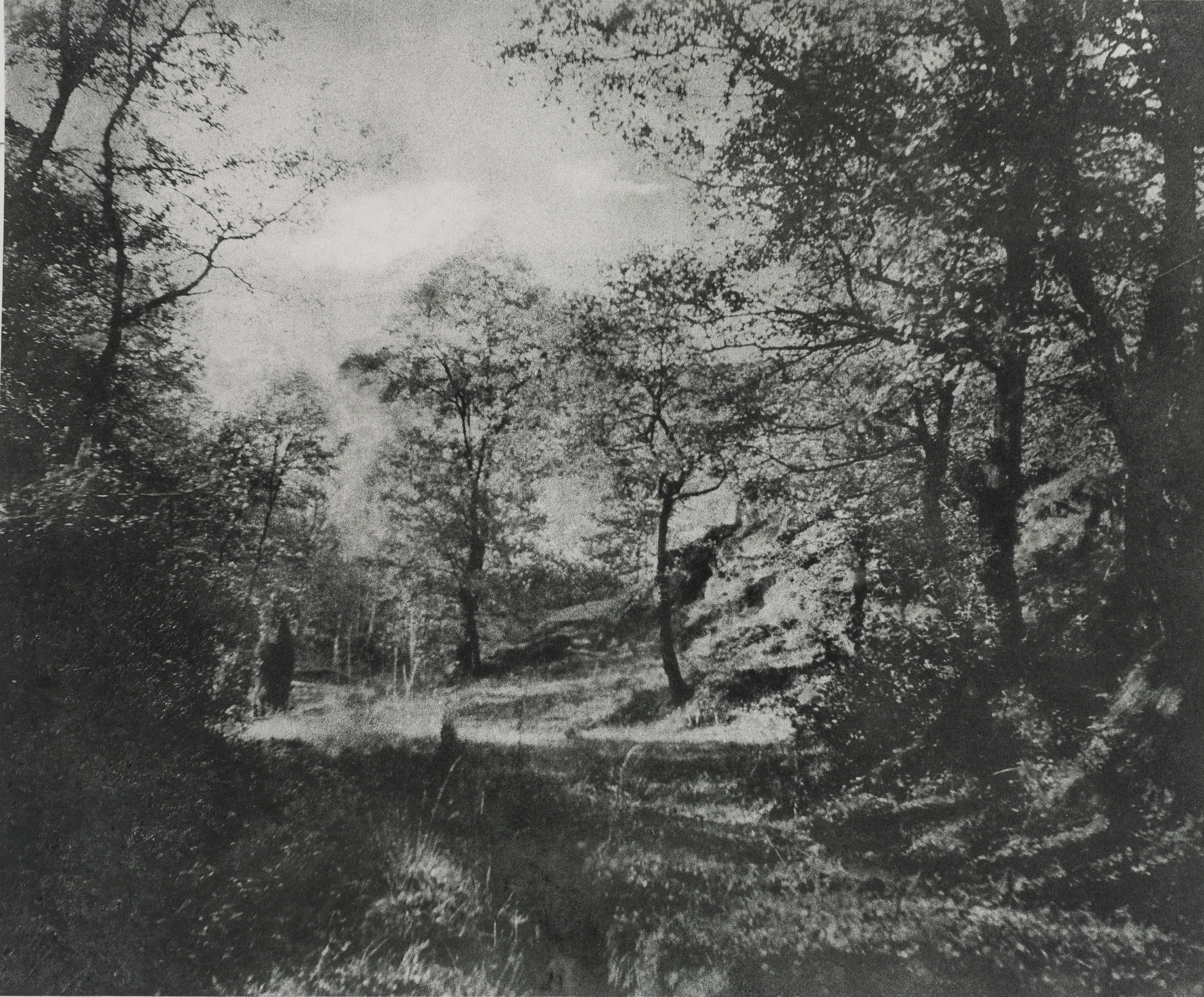 image for: Josep Maria Casals i Ariet - Paisatge - No datat