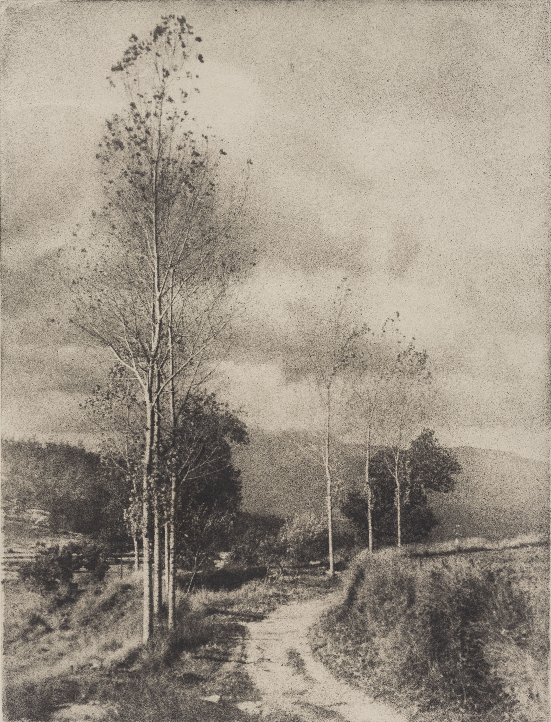 image for: Josep Maria Casals i Ariet - Paisatge - No datat