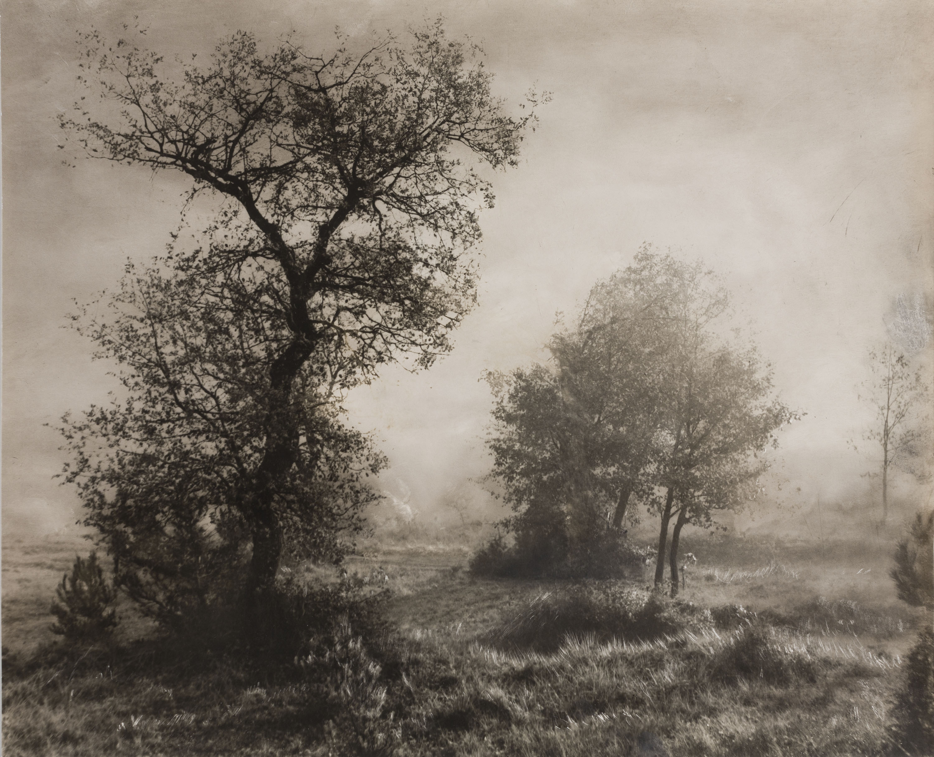 image for: Josep Maria Casals i Ariet - Paisatge - Cap a 1930-1950