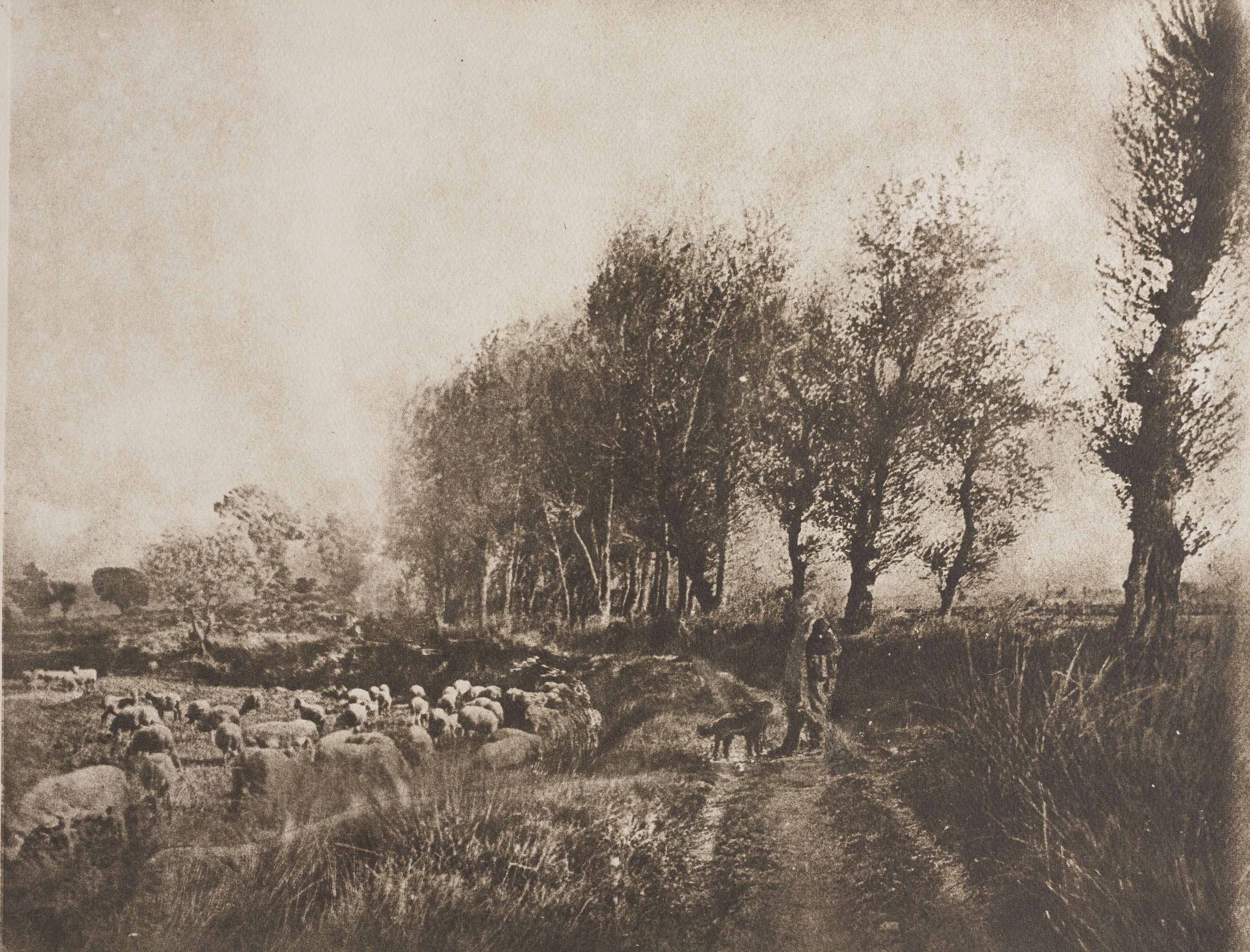 Josep Maria Casals i Ariet - Paisatge amb pastor i ramat de bens - Cap a 1930-1950 image for: Josep Maria Casals i Ariet - Paisatge amb pastor i ramat de bens - Cap a 1930-1950