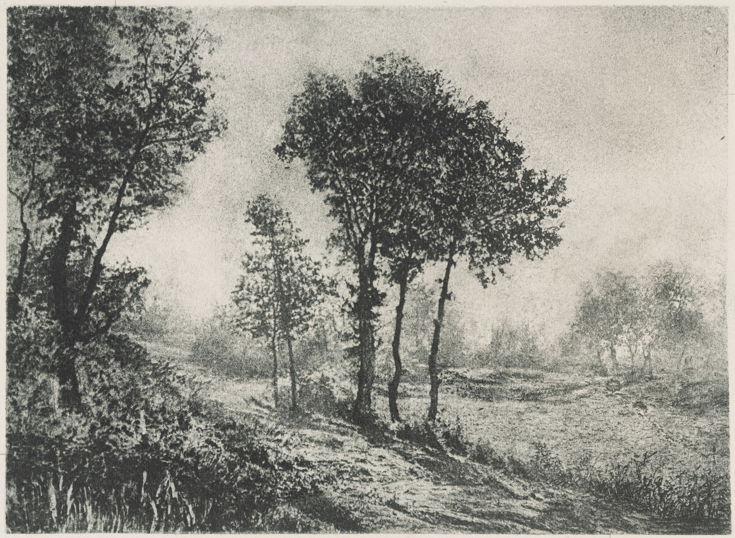 image for: Josep Maria Casals i Ariet - Paisatge - No datat