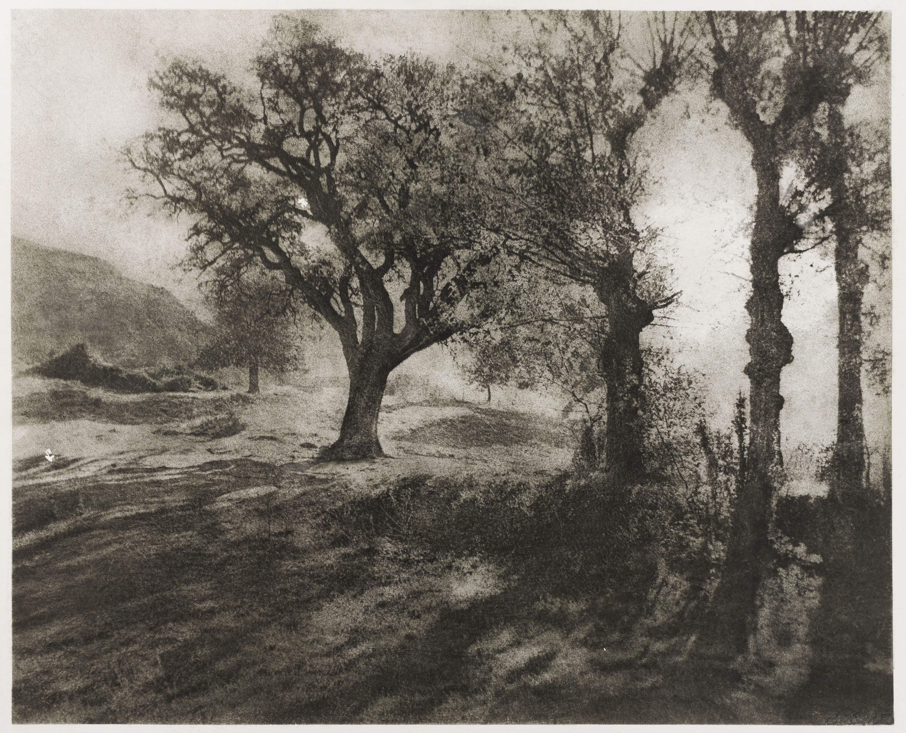 Josep Maria Casals i Ariet - Paisatge - No datat image for: Josep Maria Casals i Ariet - Paisatge - No datat