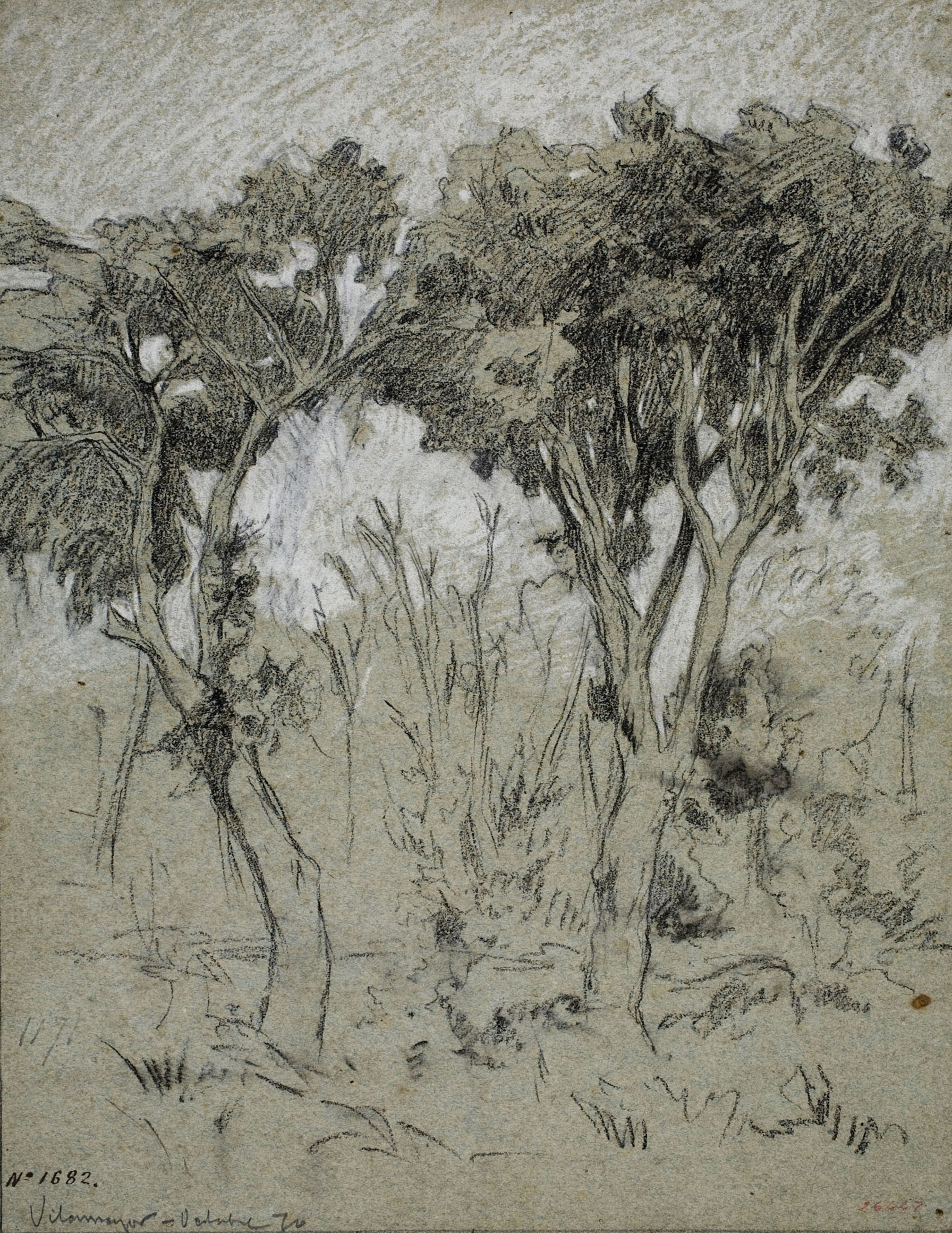 image for: Ramon Martí i Alsina - Vilamajor (estudi de dos arbres) - 1870