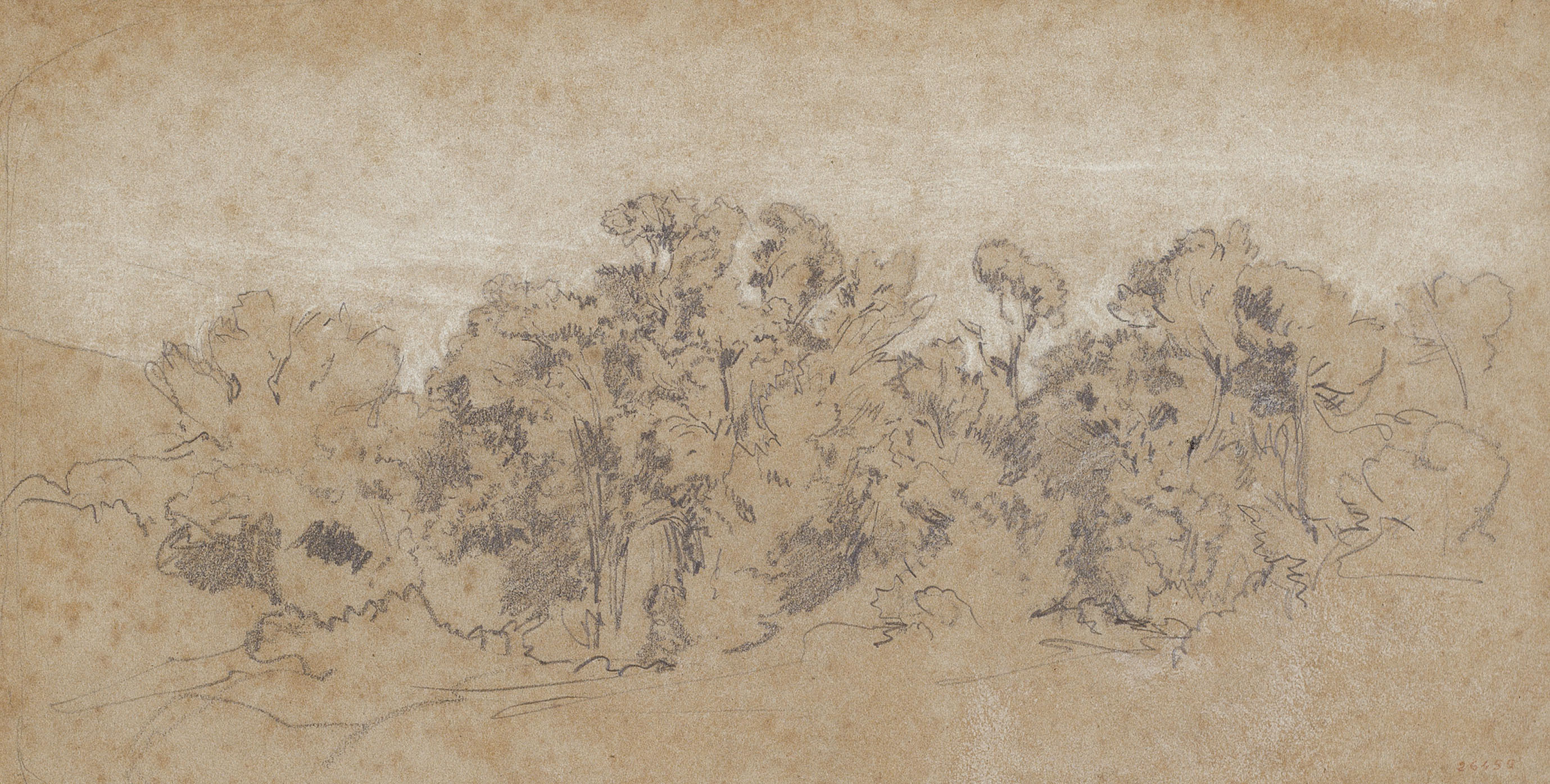 image for: Ramon Martí i Alsina - Grup d'arbres i matolls - Cap a 1865-1870