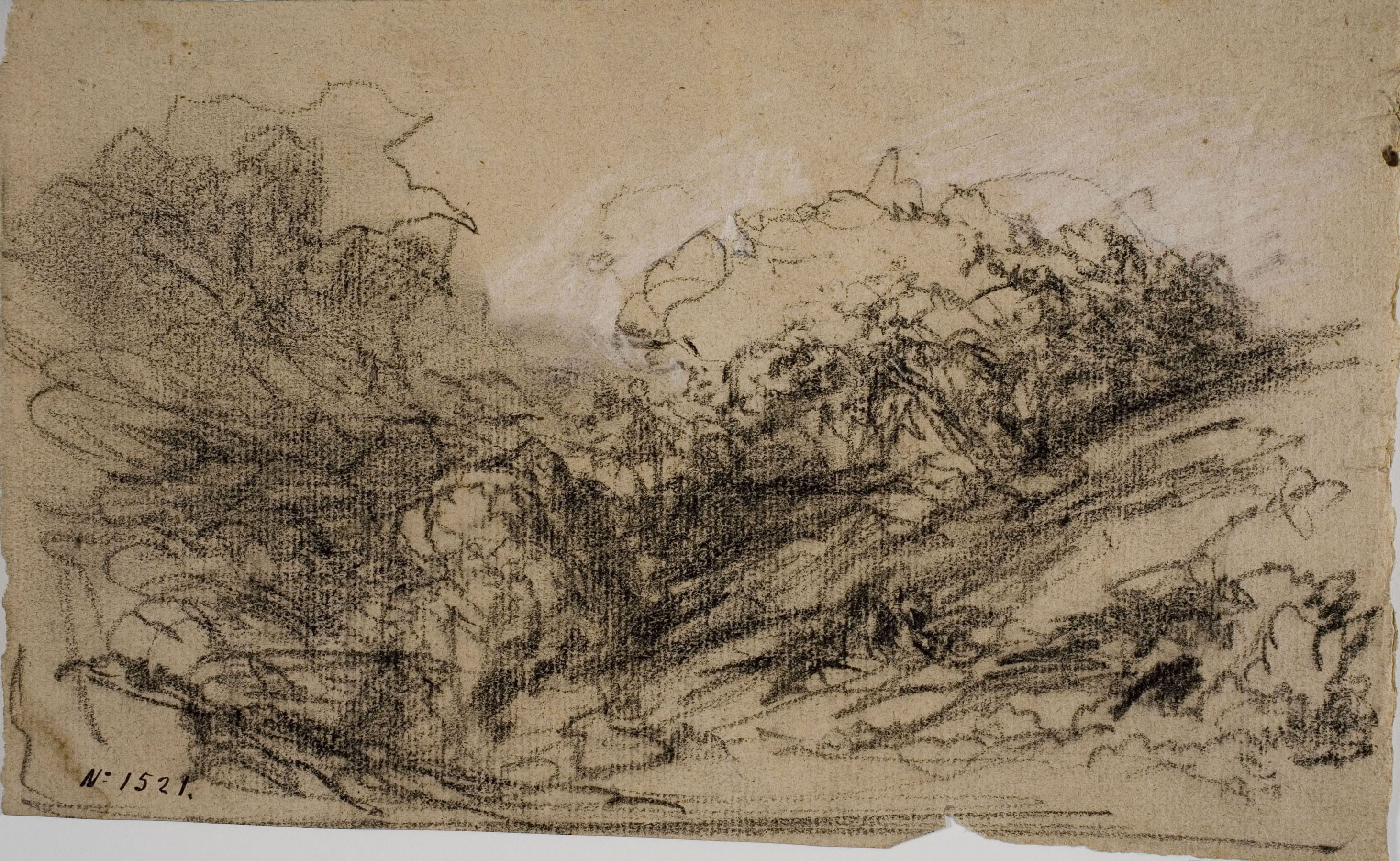 image for: Ramon Martí i Alsina - Arbreda - Cap a 1880