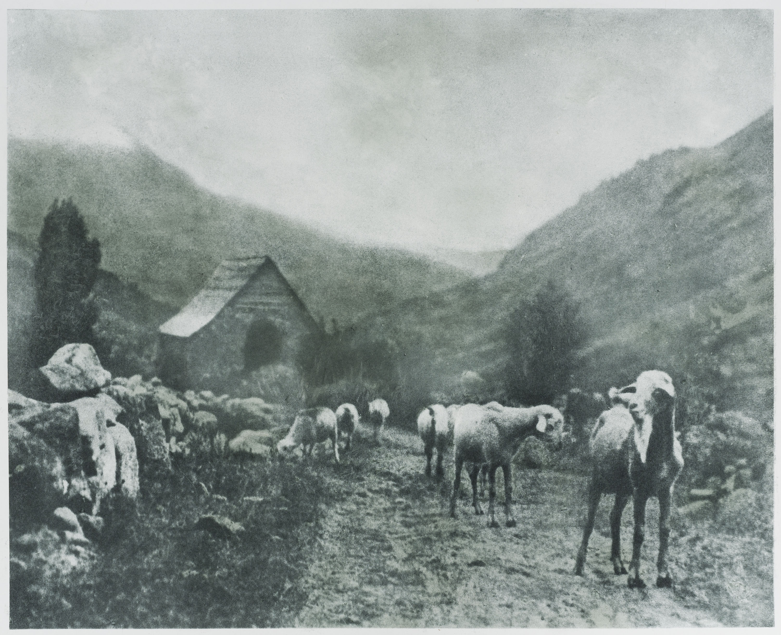image for: Josep Maria Casals i Ariet - Ramat de bens (Vall d'Aran) - No datat
