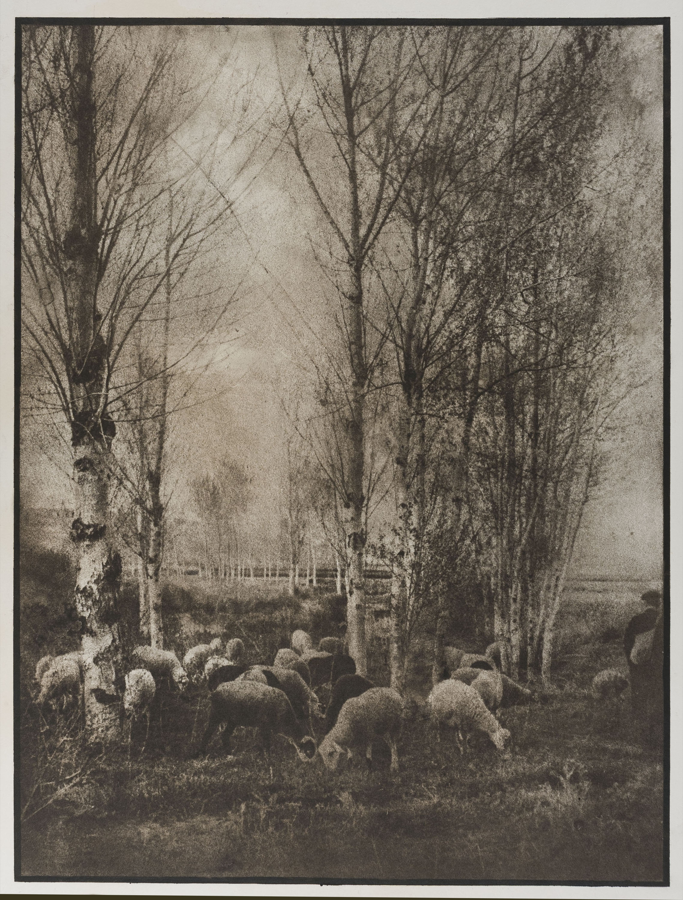 image for: Josep Maria Casals i Ariet - Paisatge amb pastor i ramat de bens - No datat