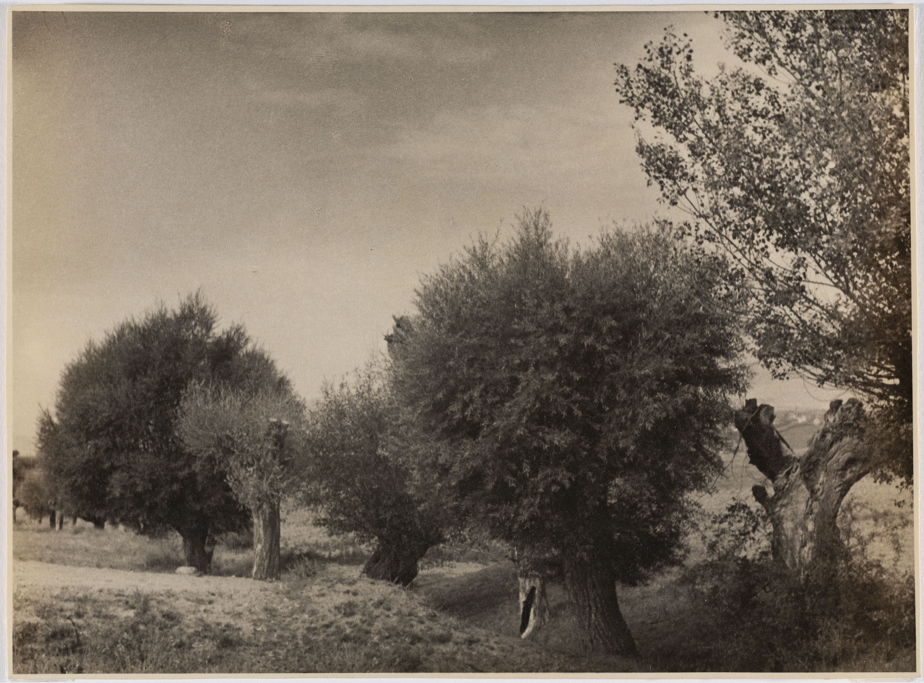 image for: Otho Lloyd - Paisatge - Cap a 1946