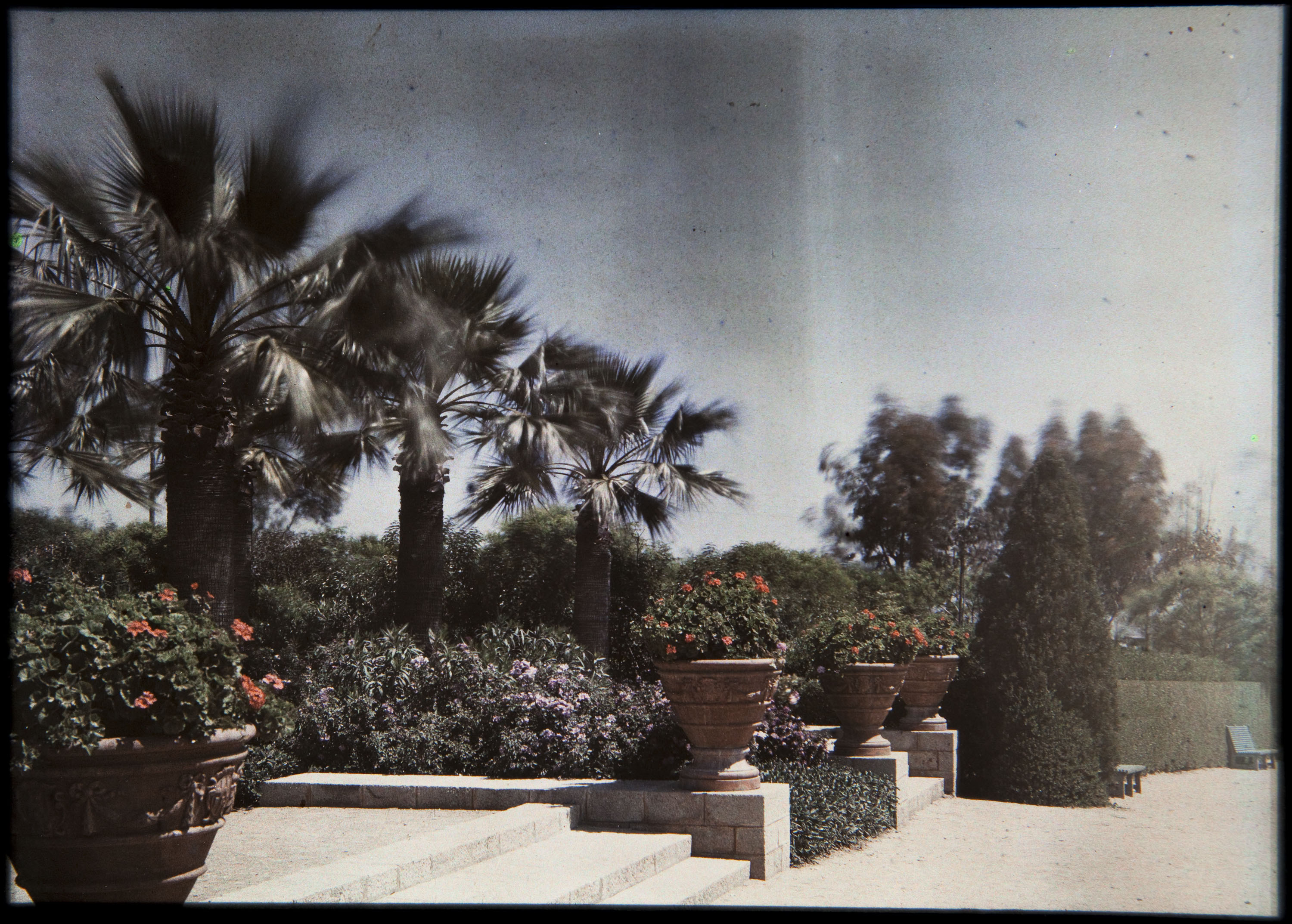 image for: Francesc Carrera Bou - Jardí - Cap a 1926