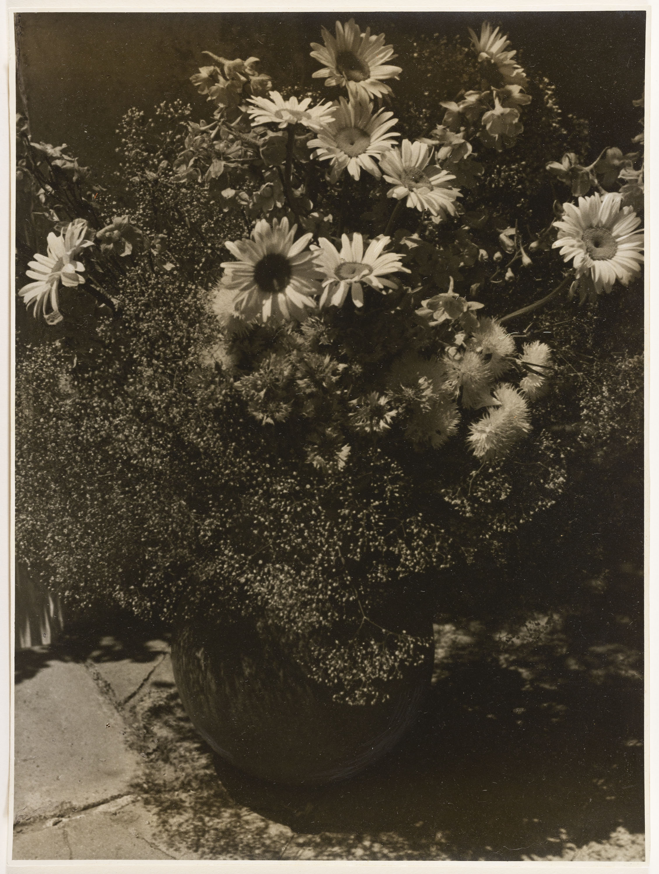 image for: Otho Lloyd - Natura morta - Cap a 1944-1950
