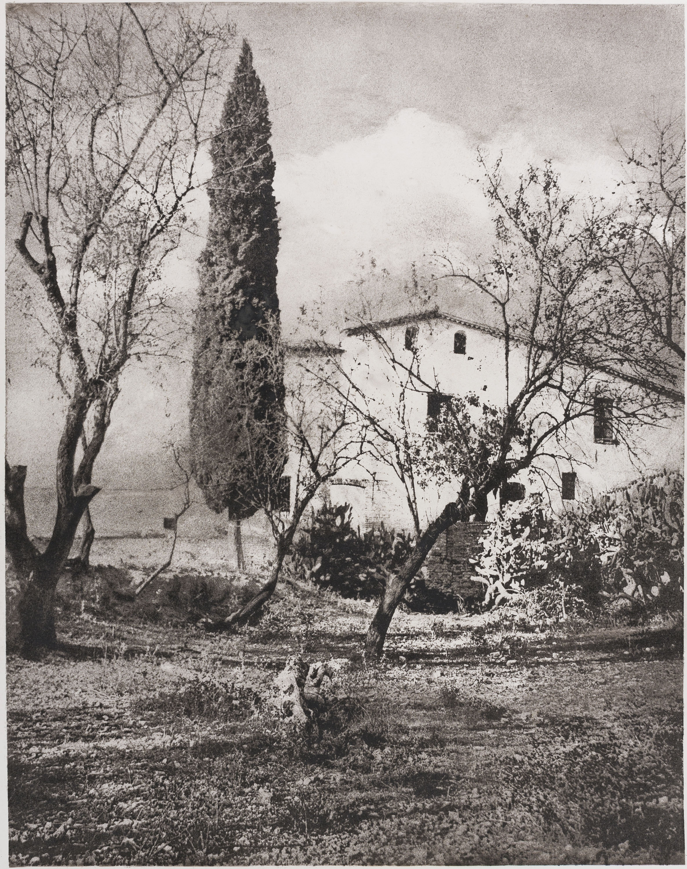 image for: Josep Maria Casals i Ariet - Vidrà - No datat