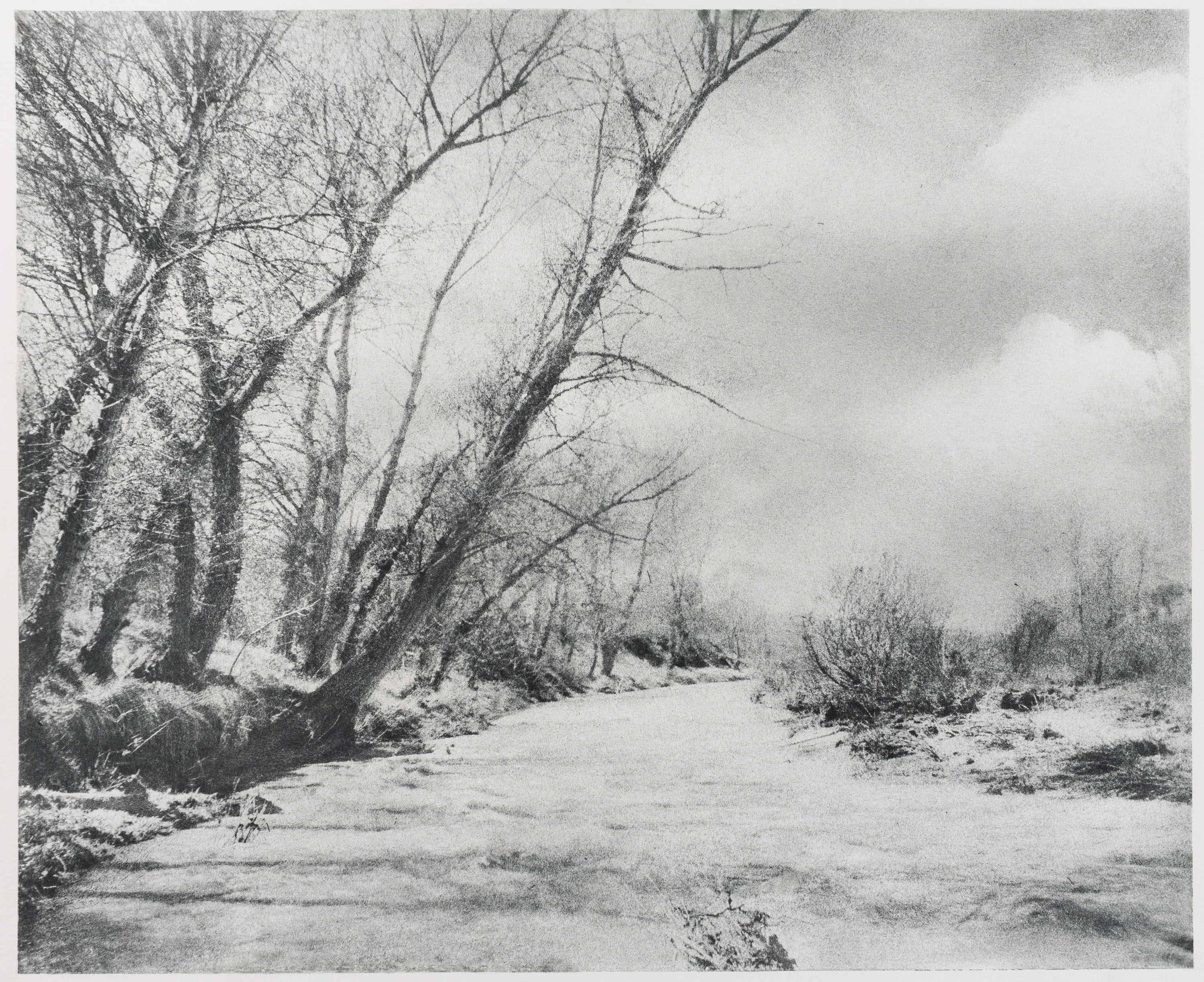 image for: Josep Maria Casals i Ariet - Paisatge - No datat