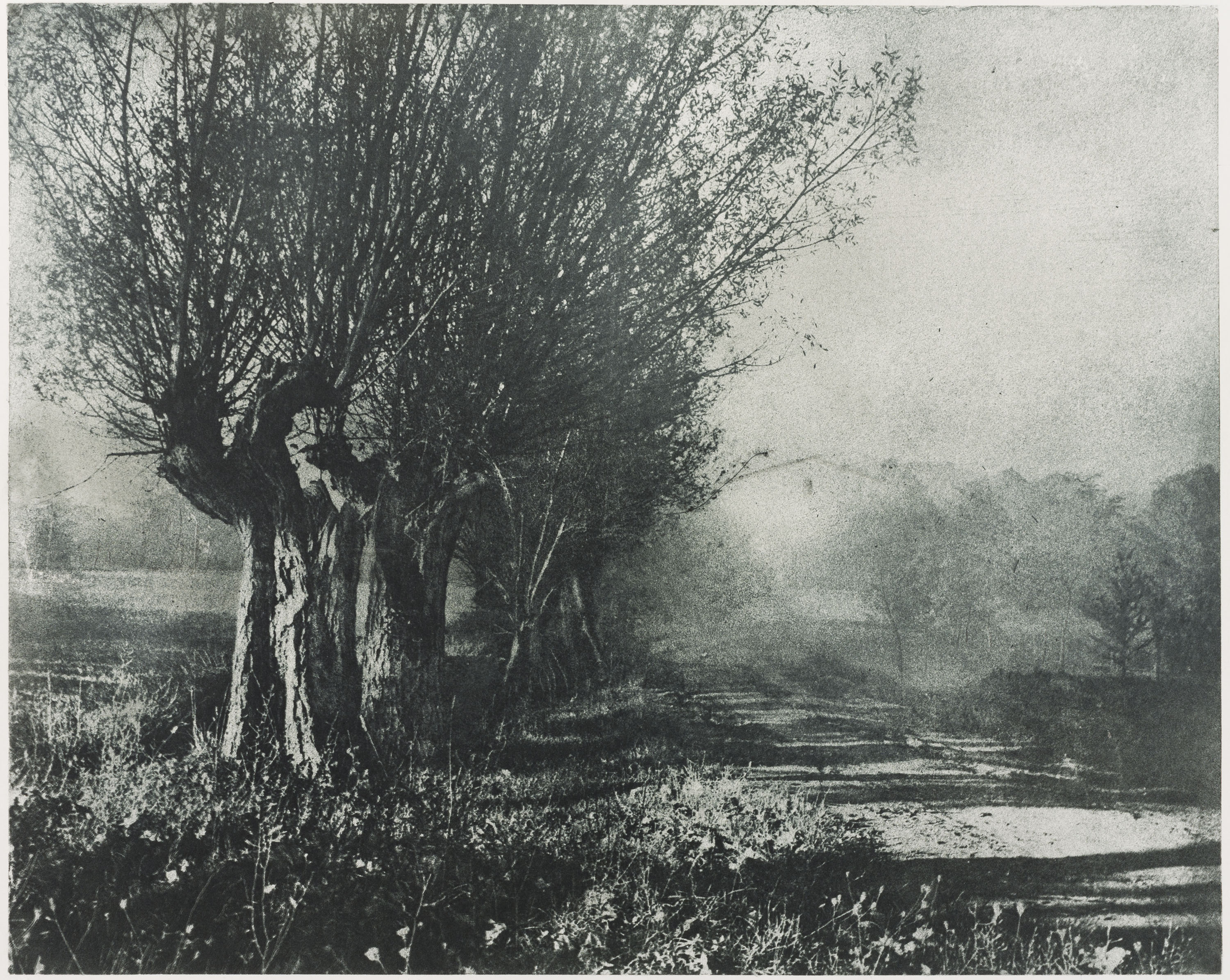 image for: Josep Maria Casals i Ariet - Paisatge - No datat