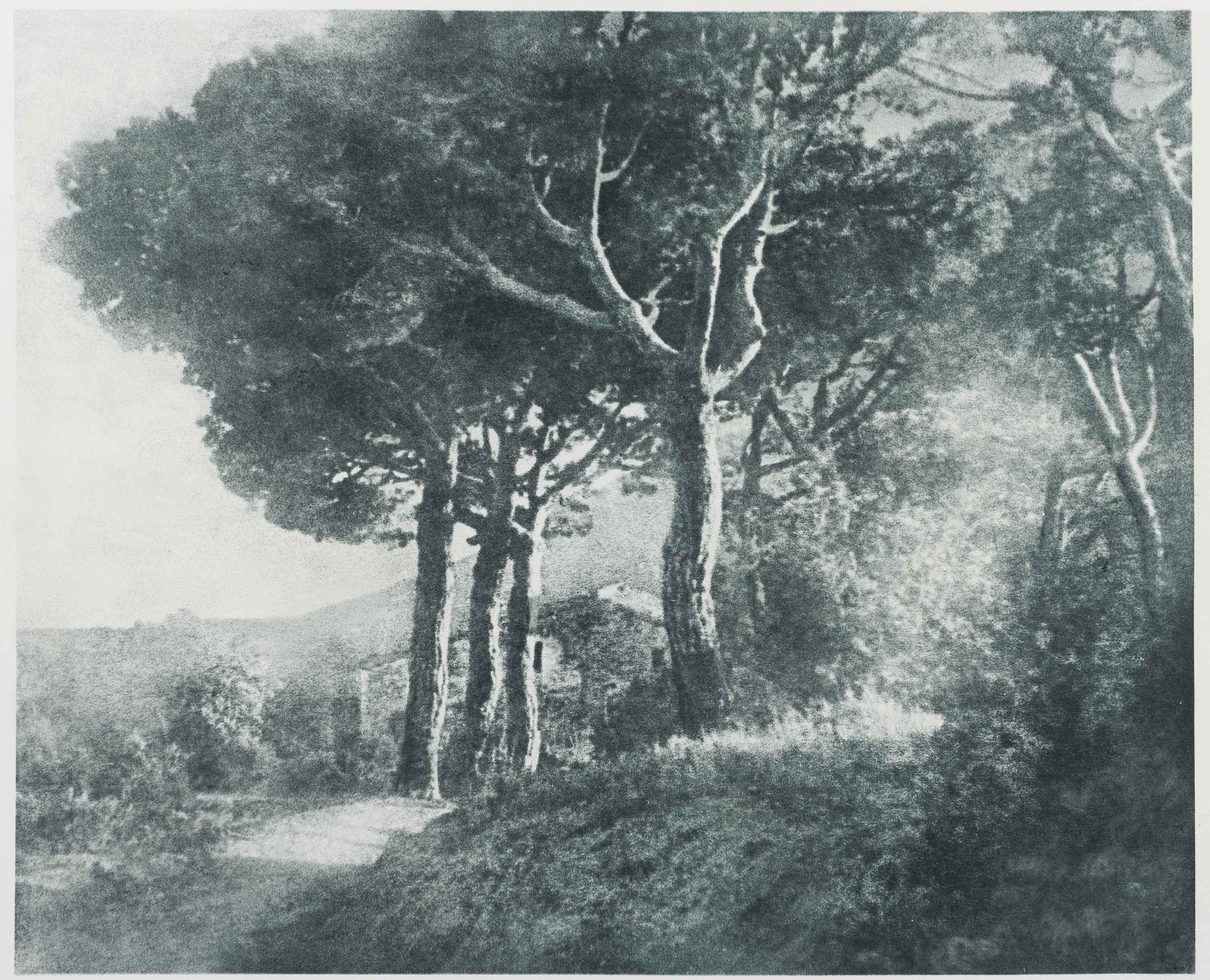 image for: Josep Maria Casals i Ariet - Paisatge - No datat