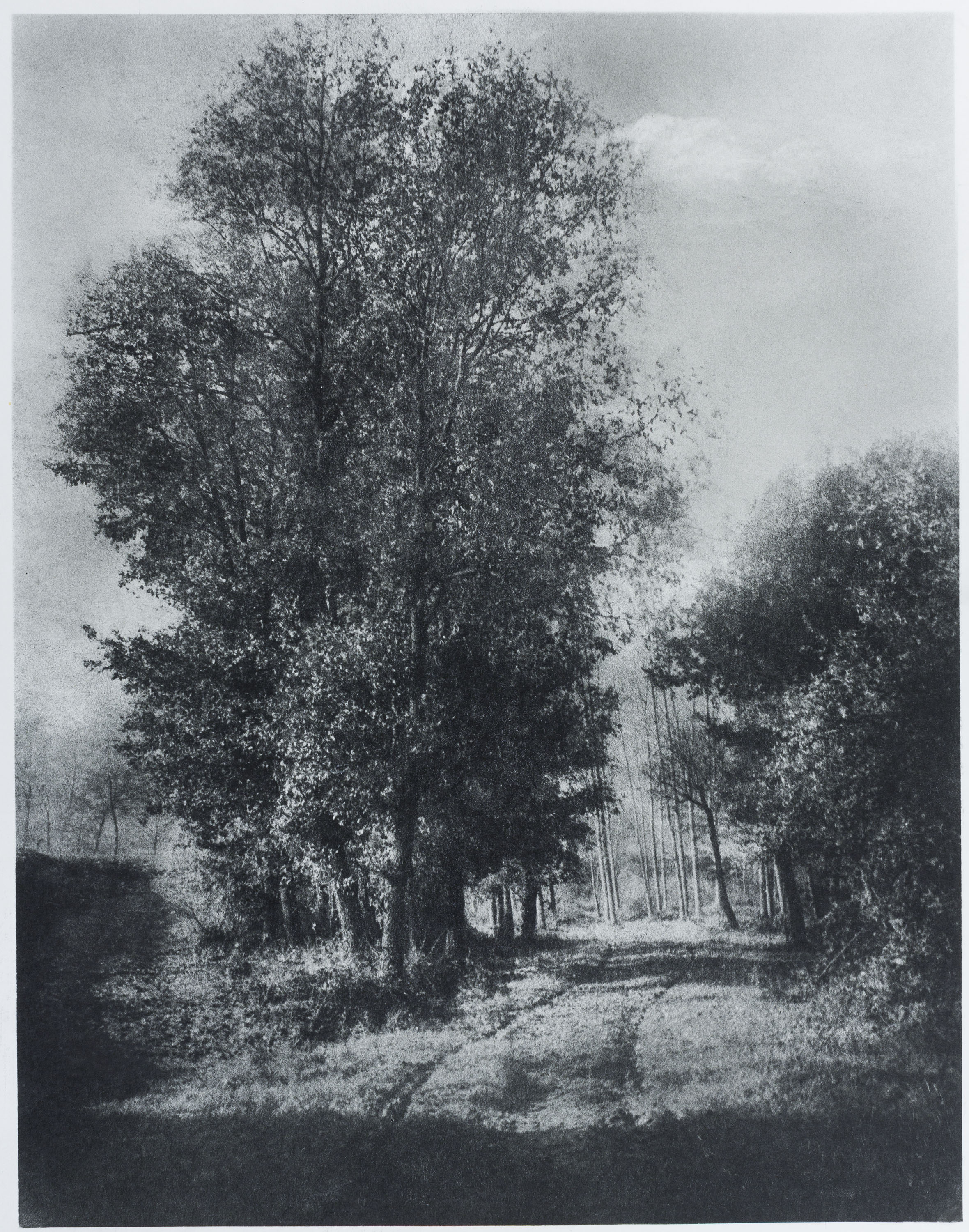image for: Josep Maria Casals i Ariet - Taradell - 1945