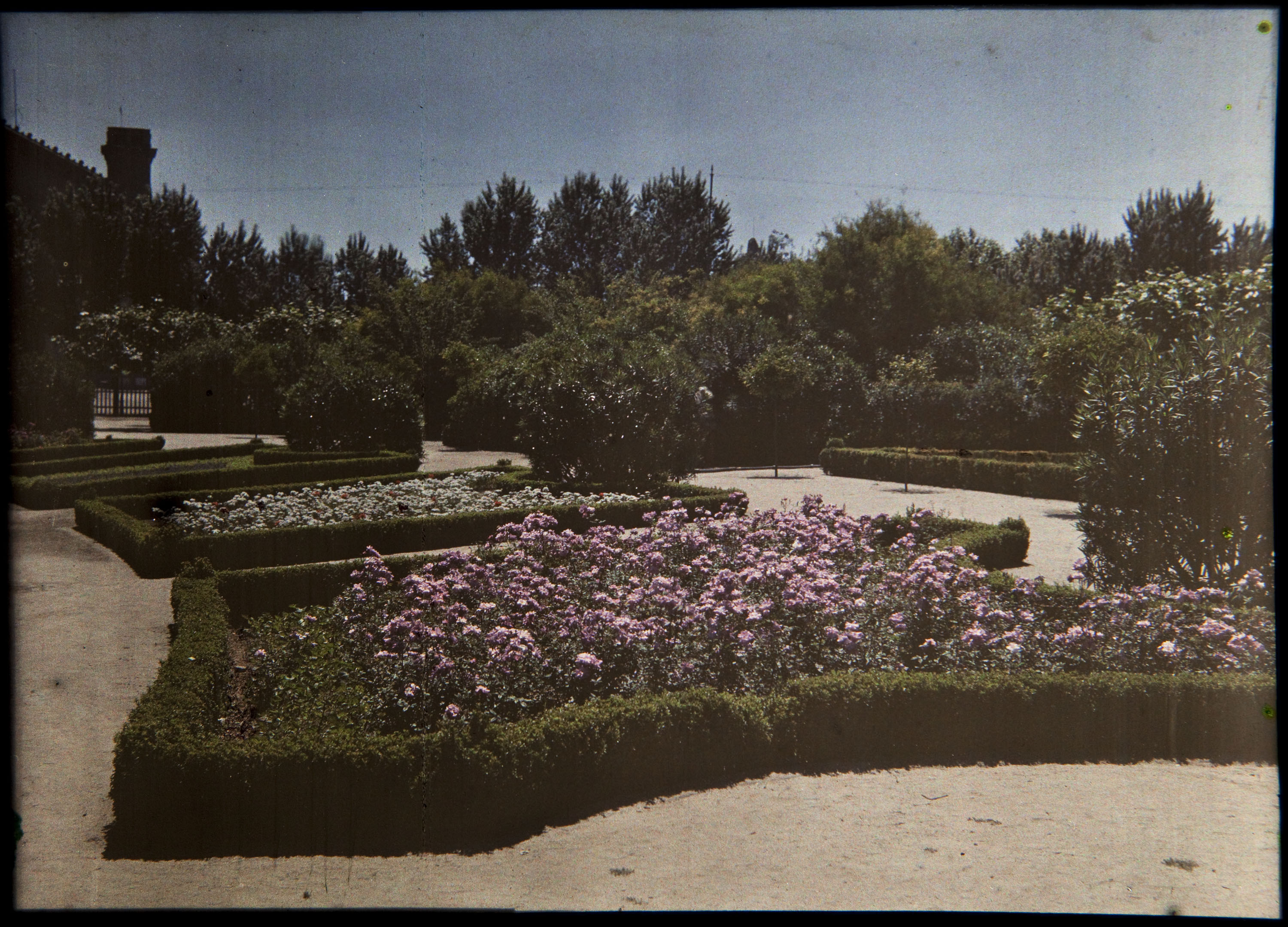 image for: Francesc Carrera Bou - Jardí - Cap a 1926