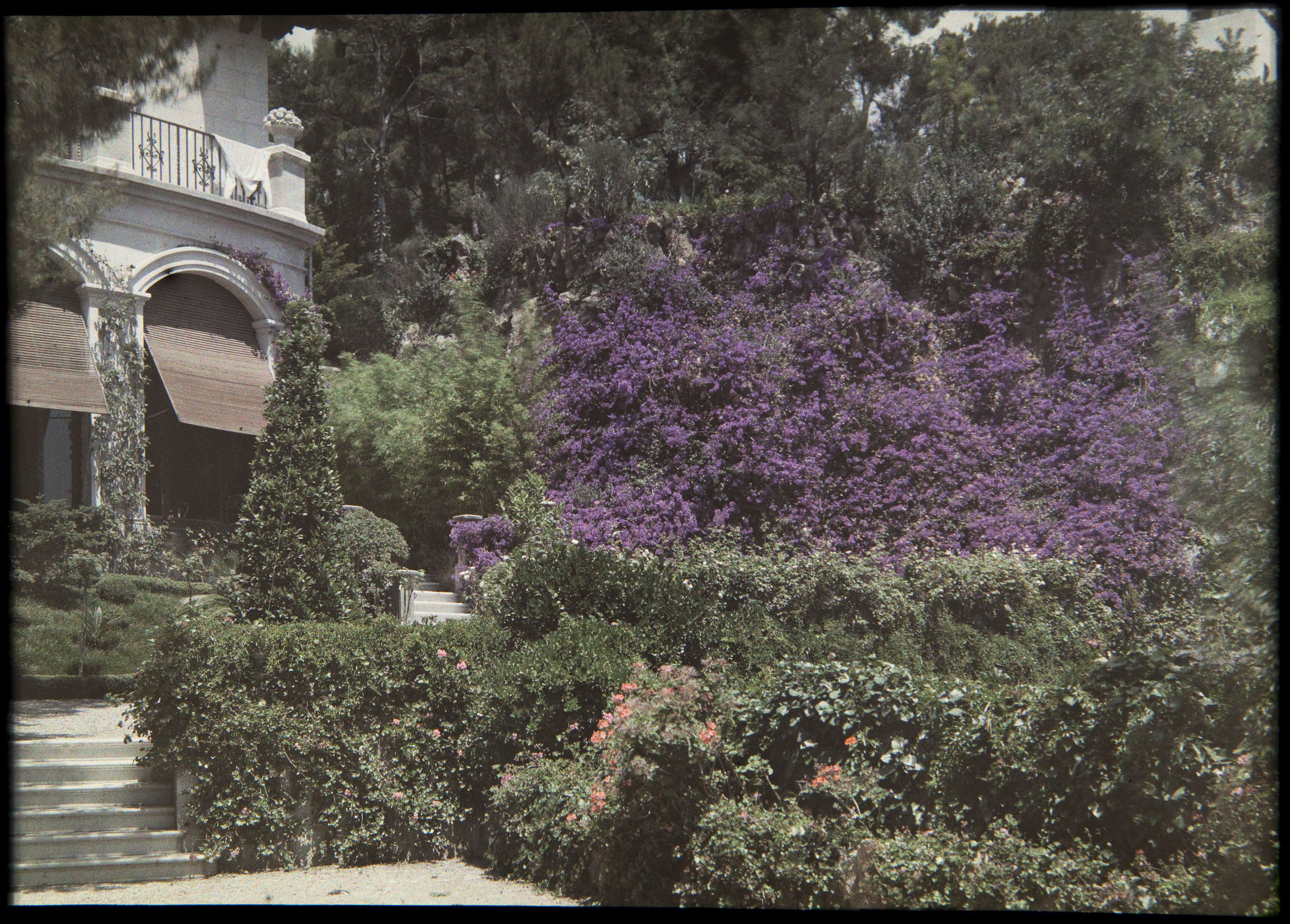 image for: Francesc Carrera Bou - Jardí - Cap a 1926