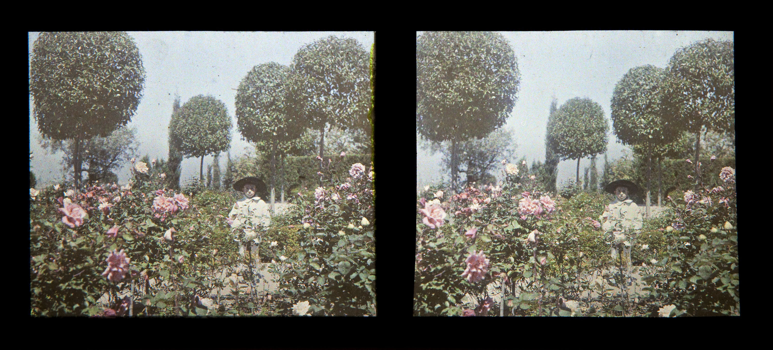 image for: Francesc Carrera Bou - Nena en un jardí - Cap a 1926