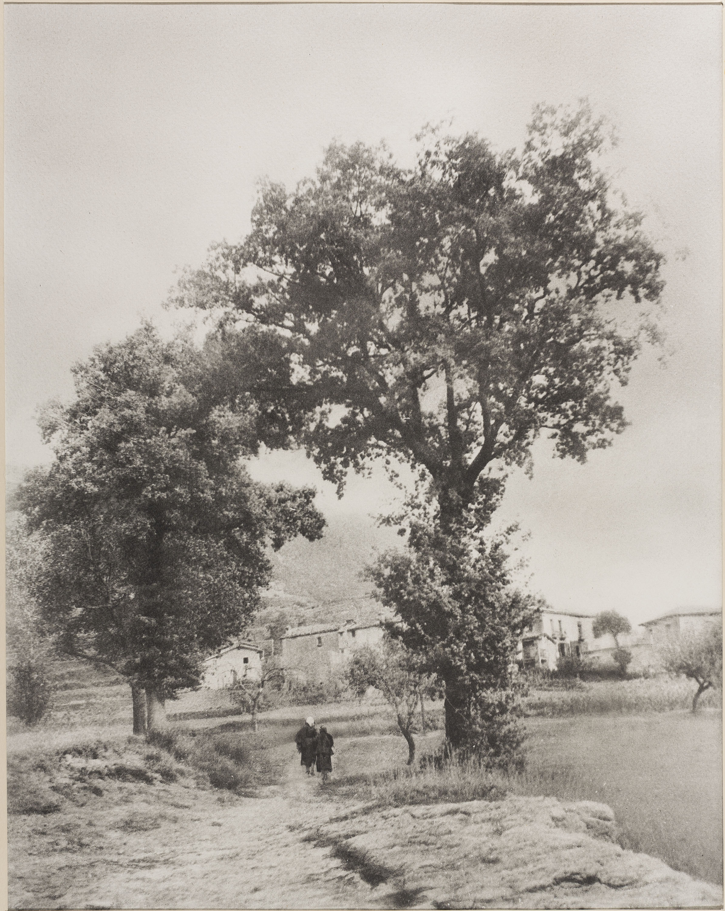 image for: Josep Maria Casals i Ariet - Vidrà - No datat