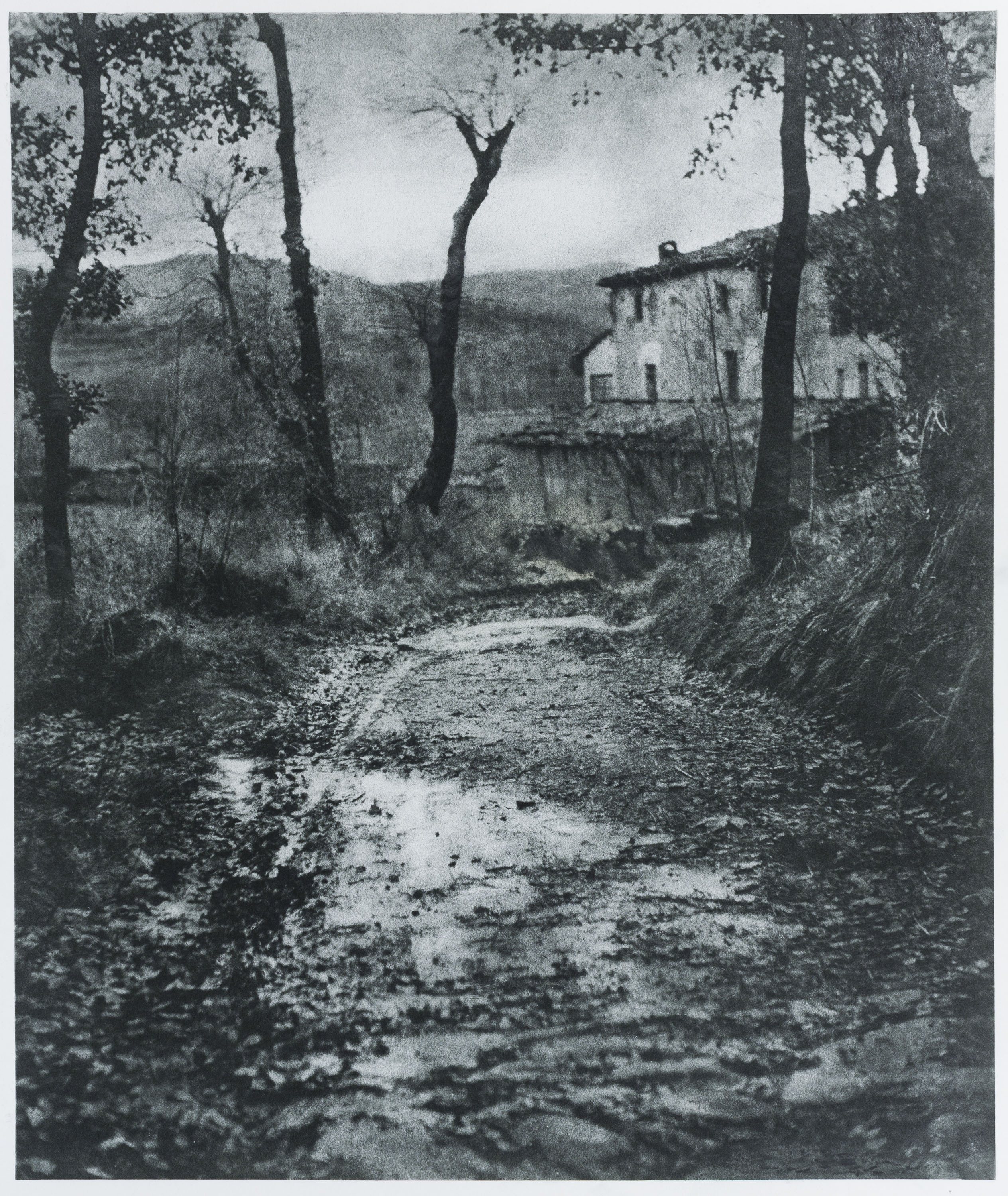 image for: Josep Maria Casals i Ariet - Paisatge - No datat