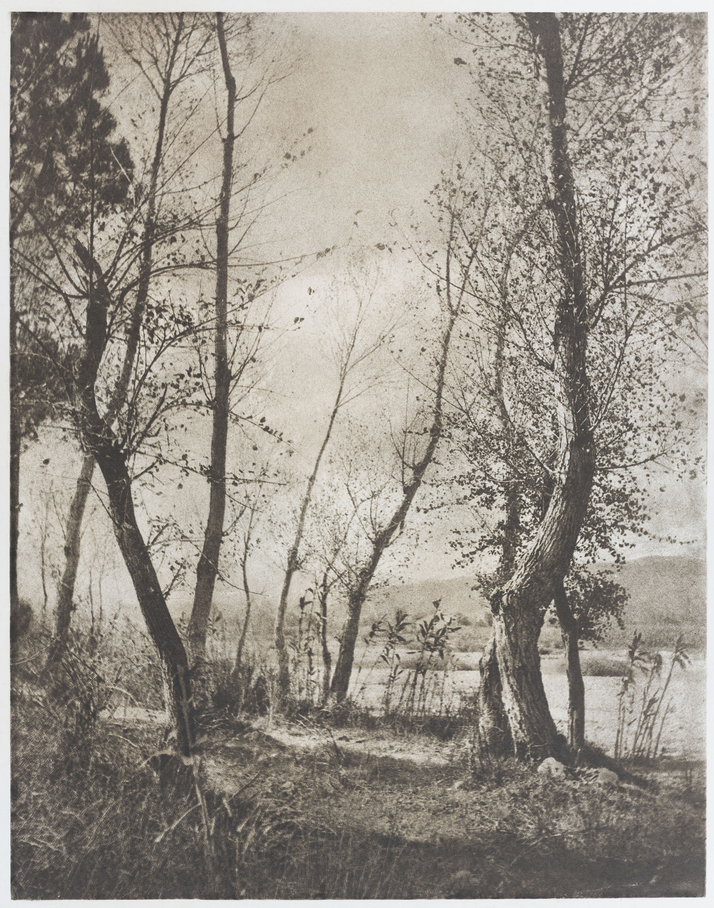 image for: Josep Maria Casals i Ariet - Paisatge - No datat