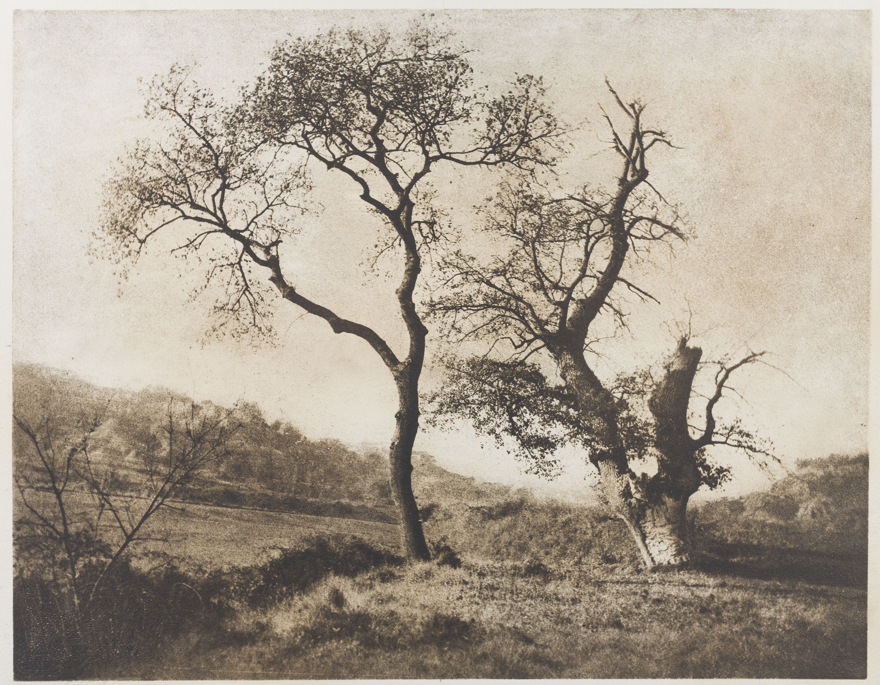 image for: Josep Maria Casals i Ariet - Paisatge (Balenyà [?], Tona [?]) - Cap a 1940-1948