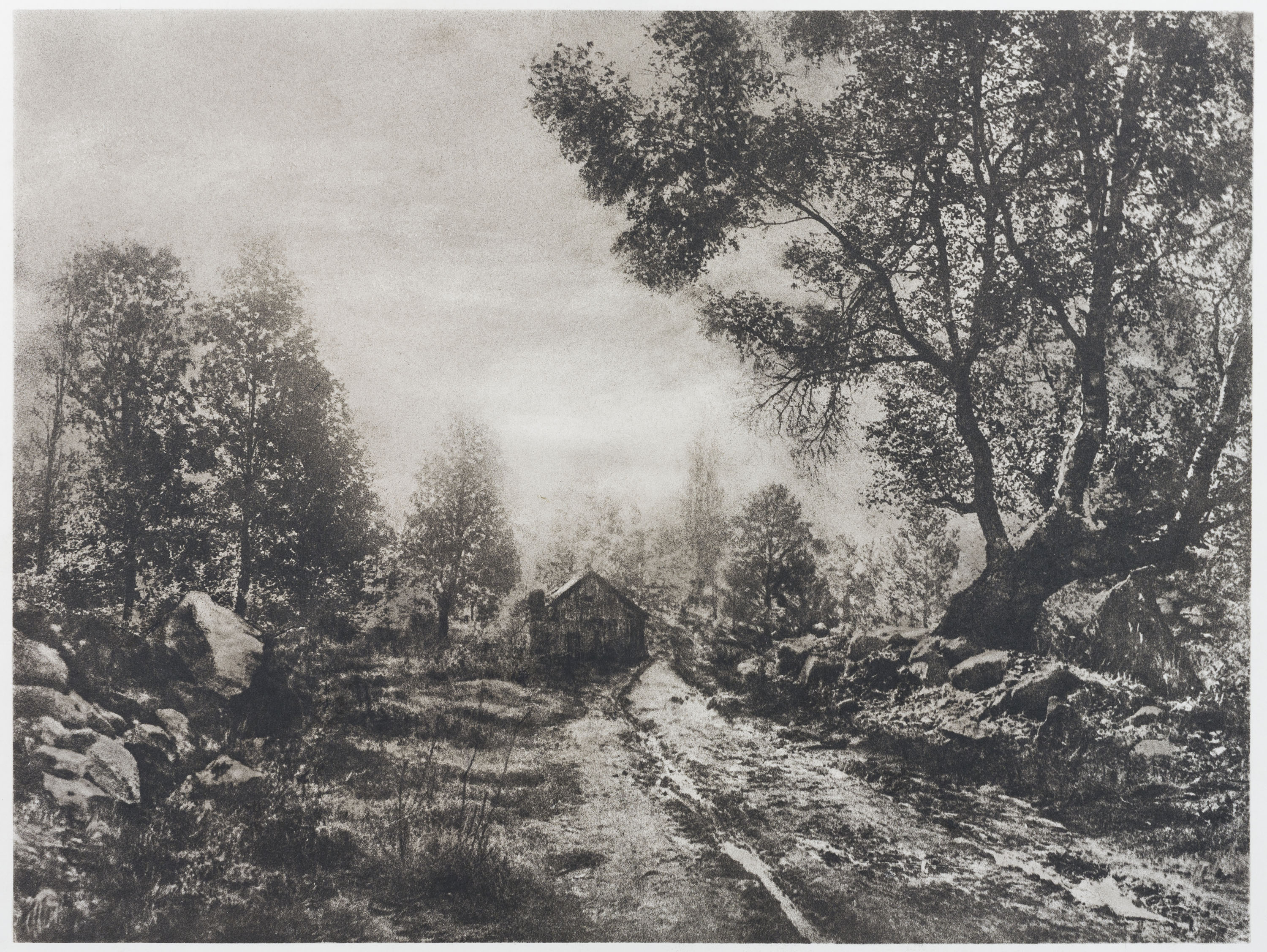 image for: Josep Maria Casals i Ariet - Paisatge - No datat
