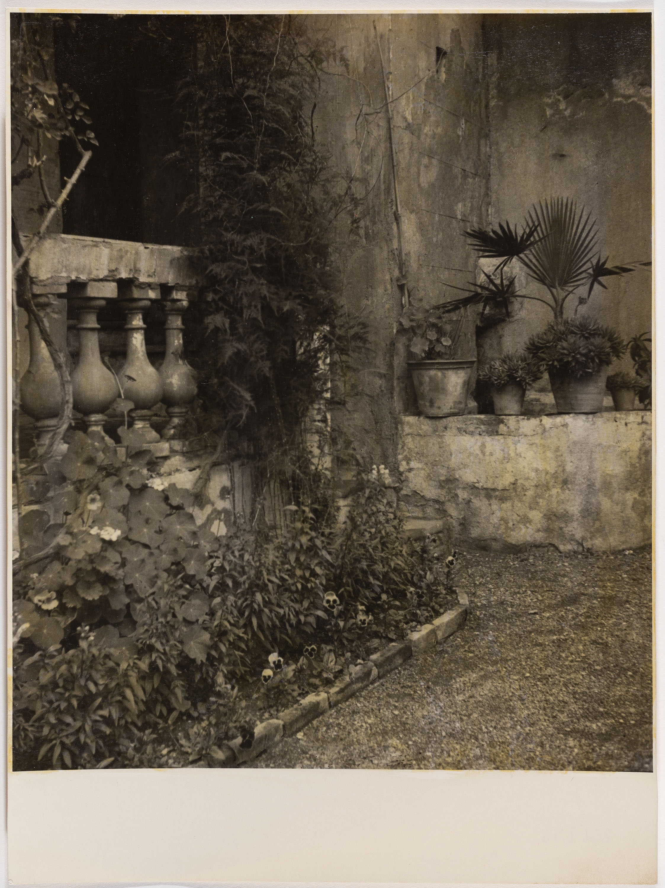 image for: Otho Lloyd - Jardí de la casa del Putxet (Barcelona) - Cap a 1945-1948