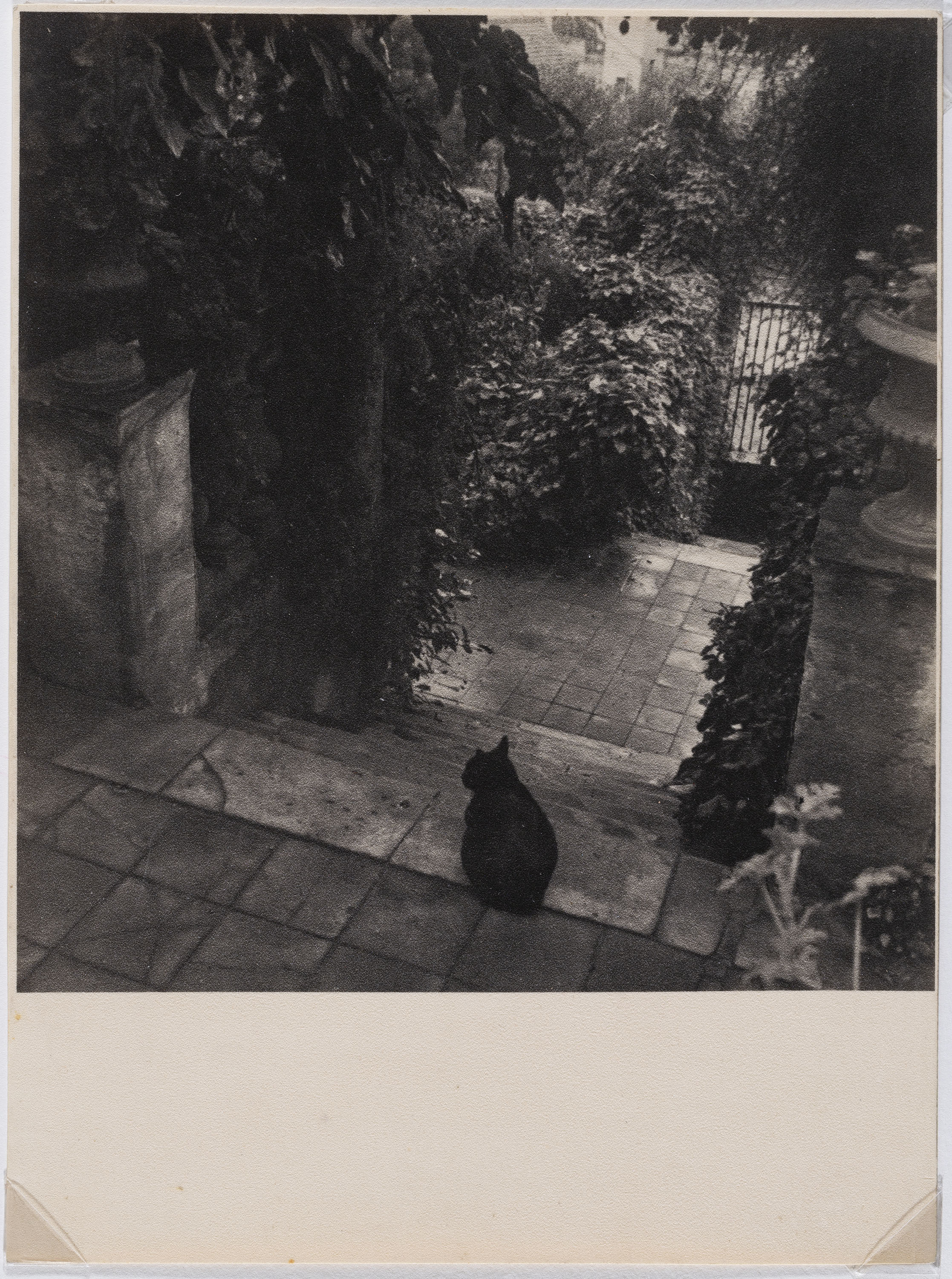image for: Otho Lloyd - Entrada al meu jardí (Jardí de la casa del Putxet, Barcelona) - Cap a 1945