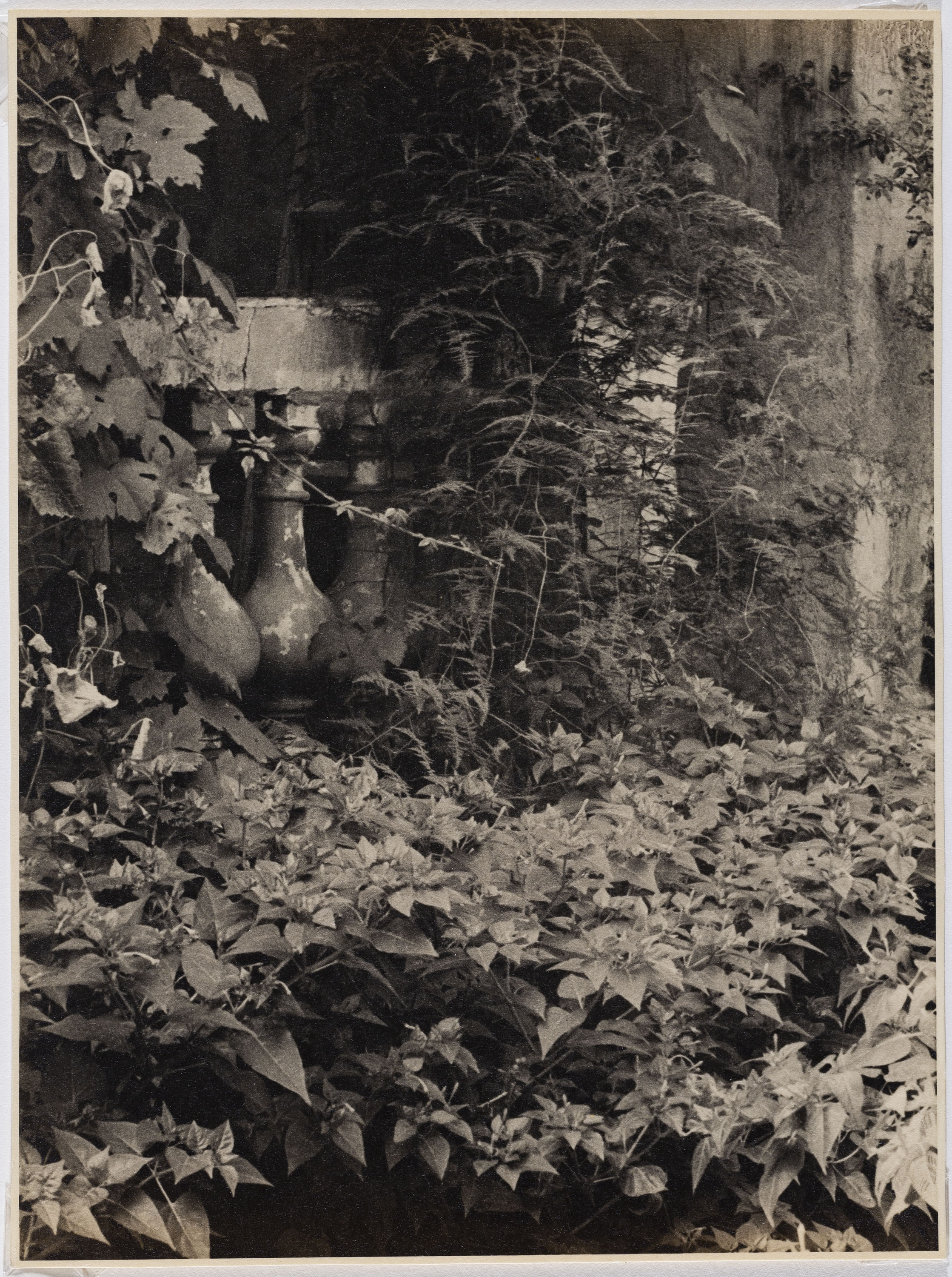 image for: Otho Lloyd - Jardí de la casa del Putxet (Barcelona) - Cap a 1948