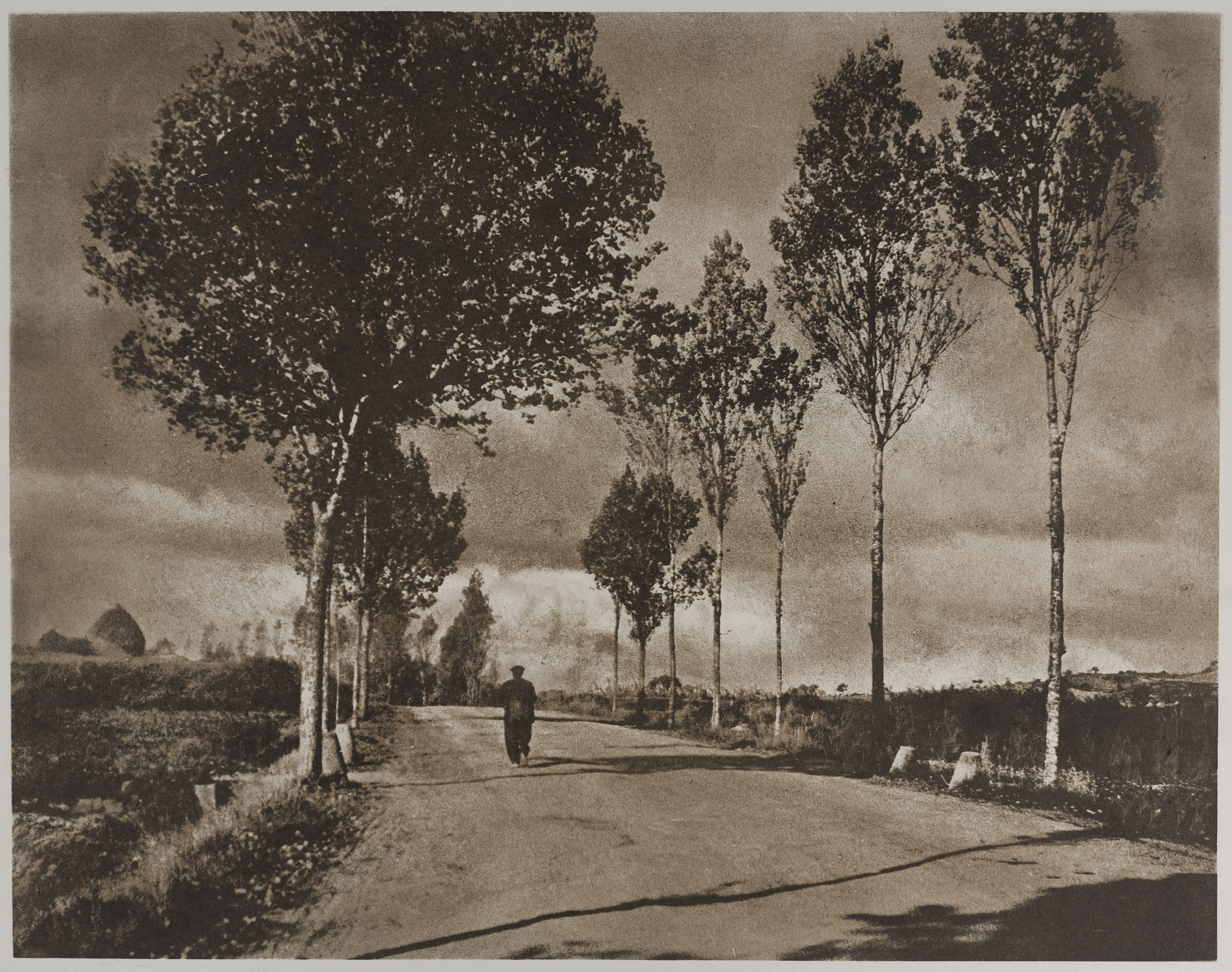 image for: Josep Maria Casals i Ariet - Camí de poble - No datat