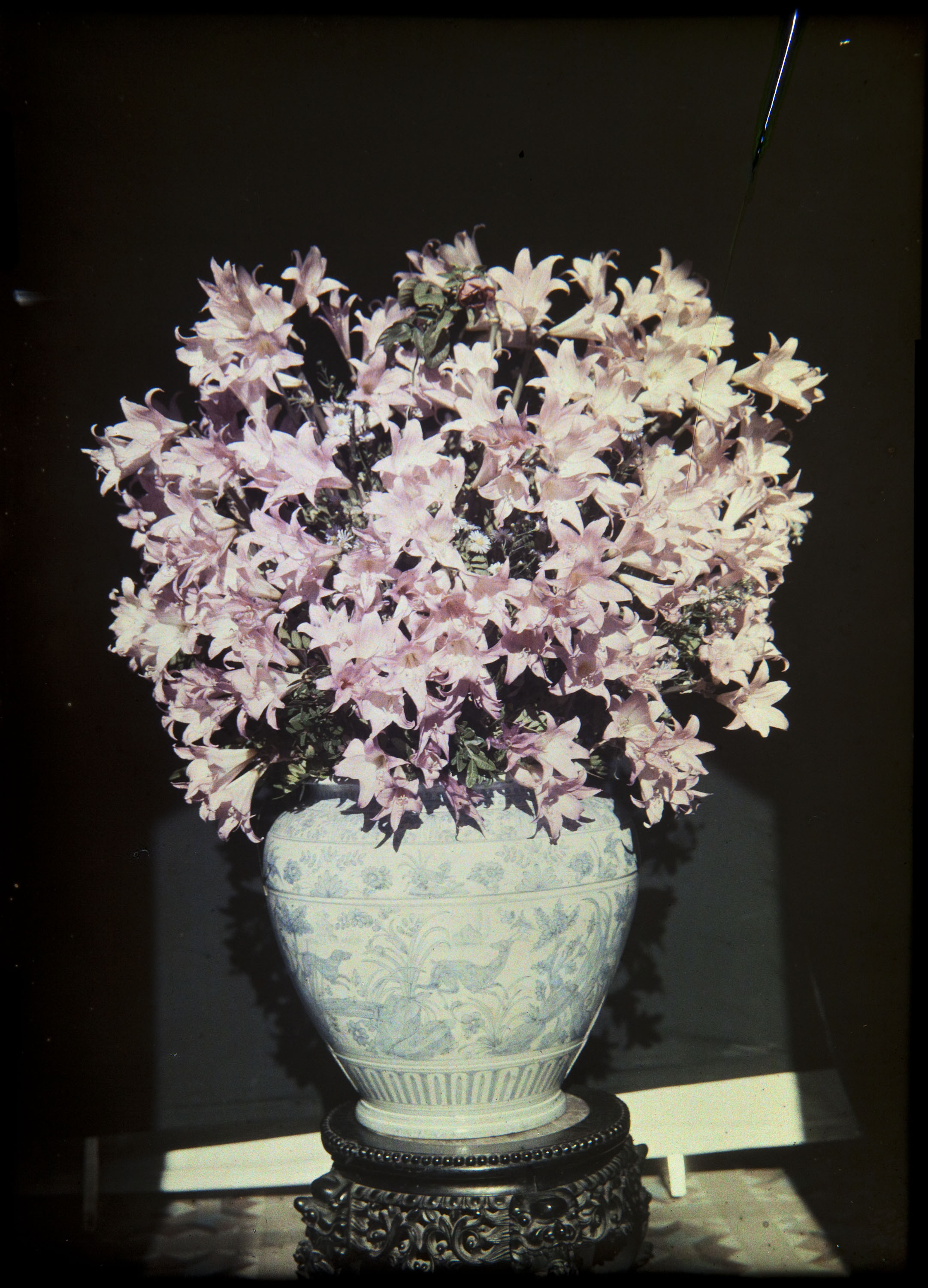 image for: Francesc Carrera Bou - Gerro amb flors - Cap a 1922-1926
