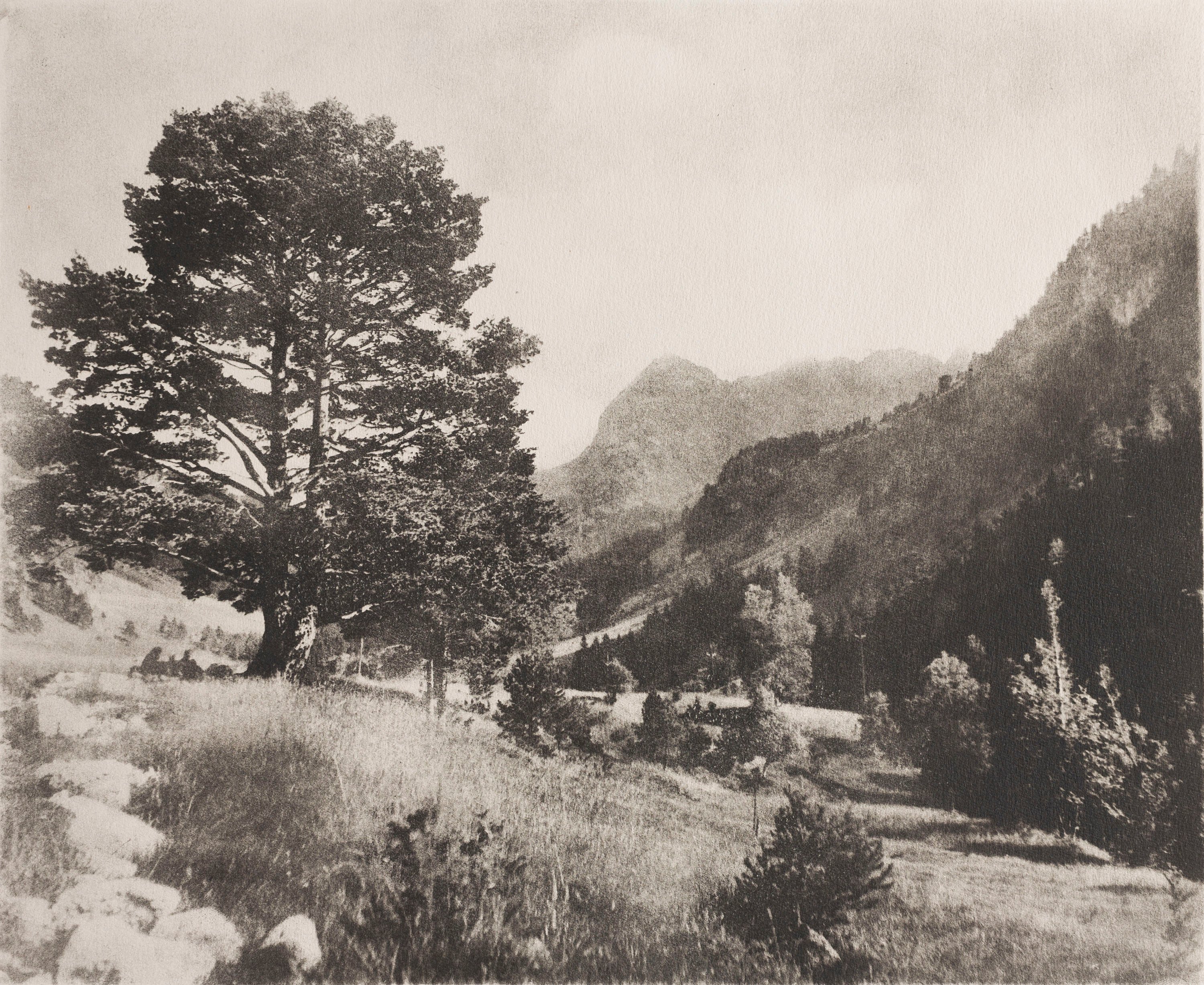 image for: Josep Maria Casals i Ariet - Paisatge - No datat