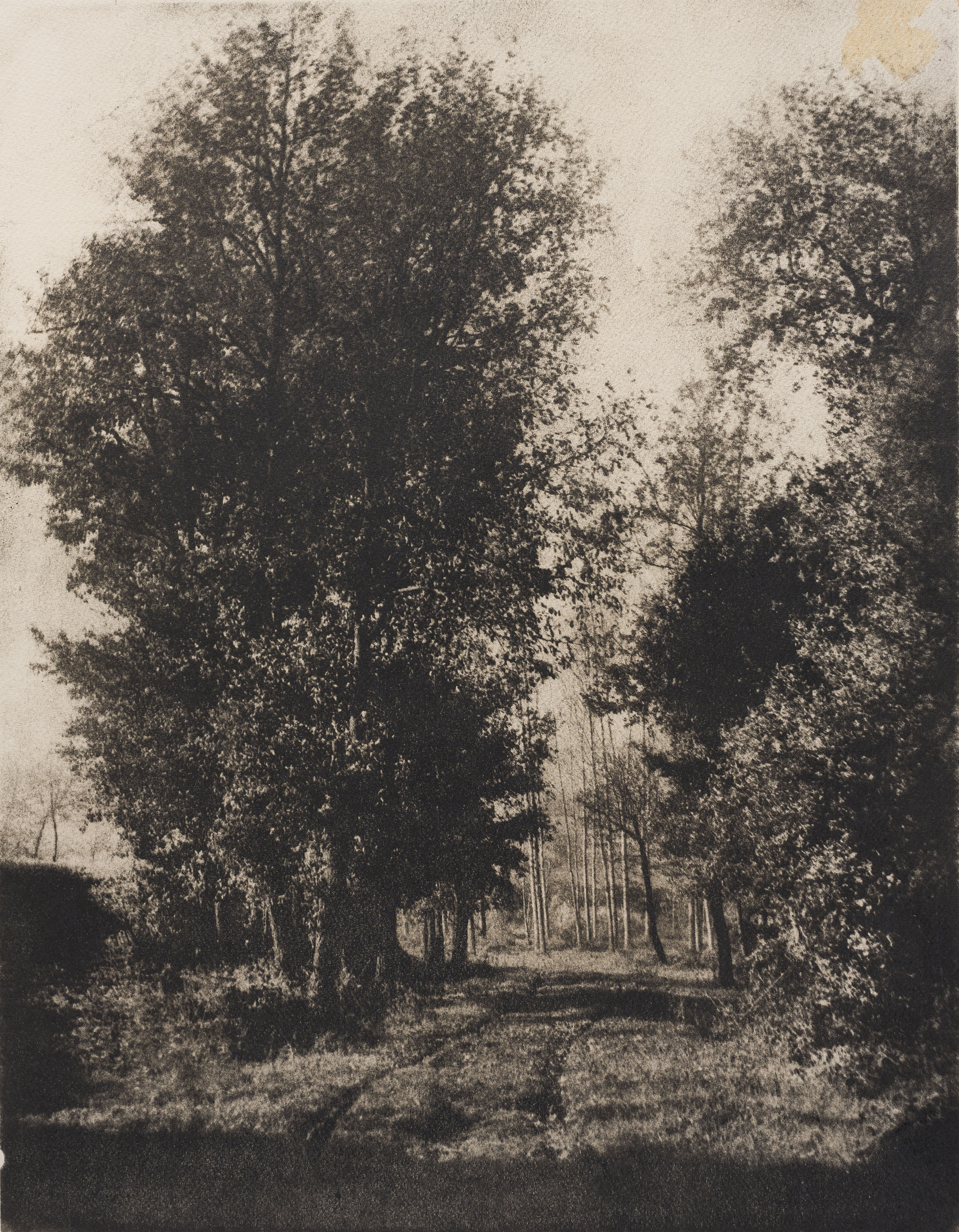 image for: Josep Maria Casals i Ariet - Paisatge - No datat