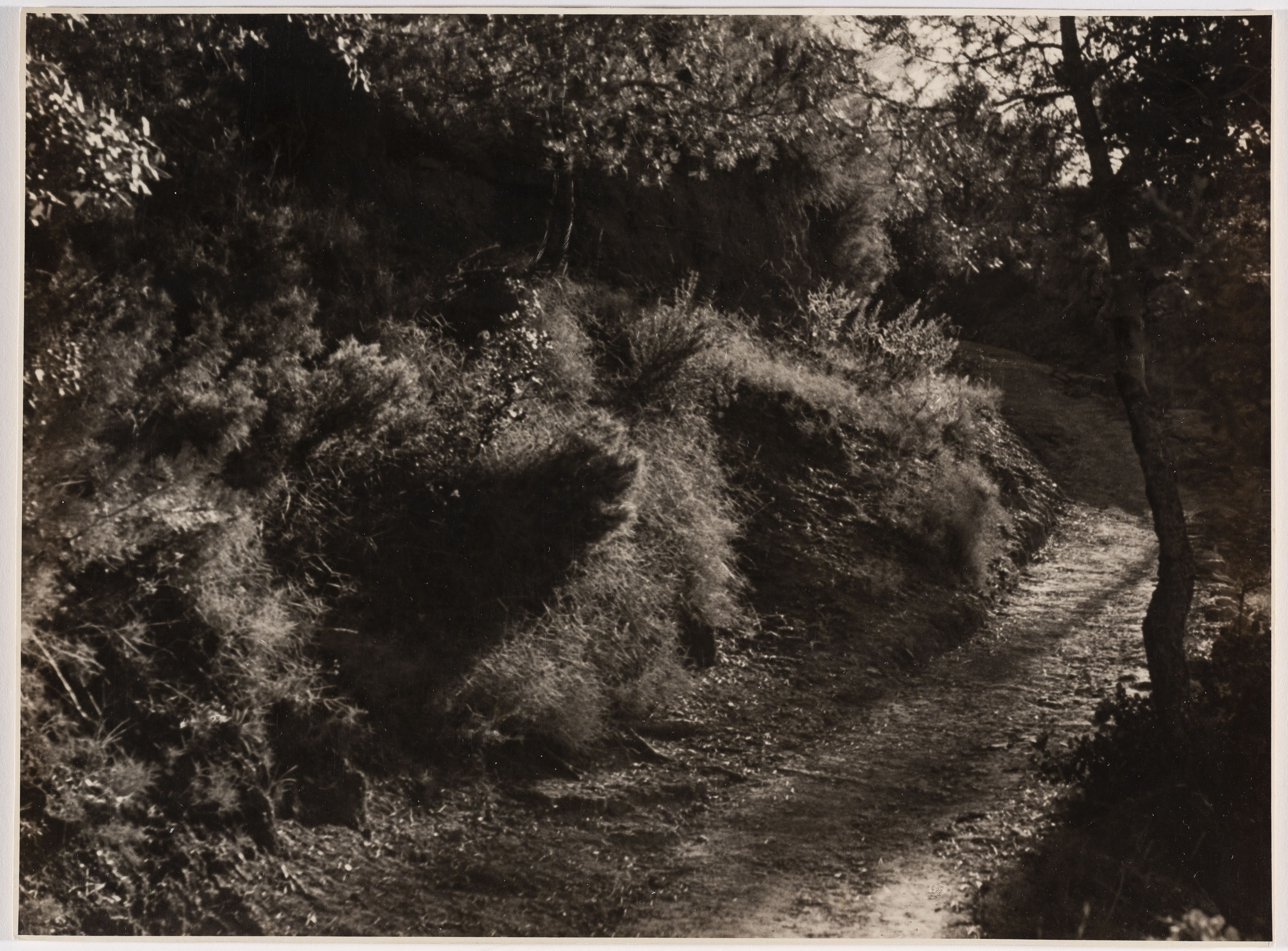 image for: Otho Lloyd - Paisatge - Cap a 1944-1950