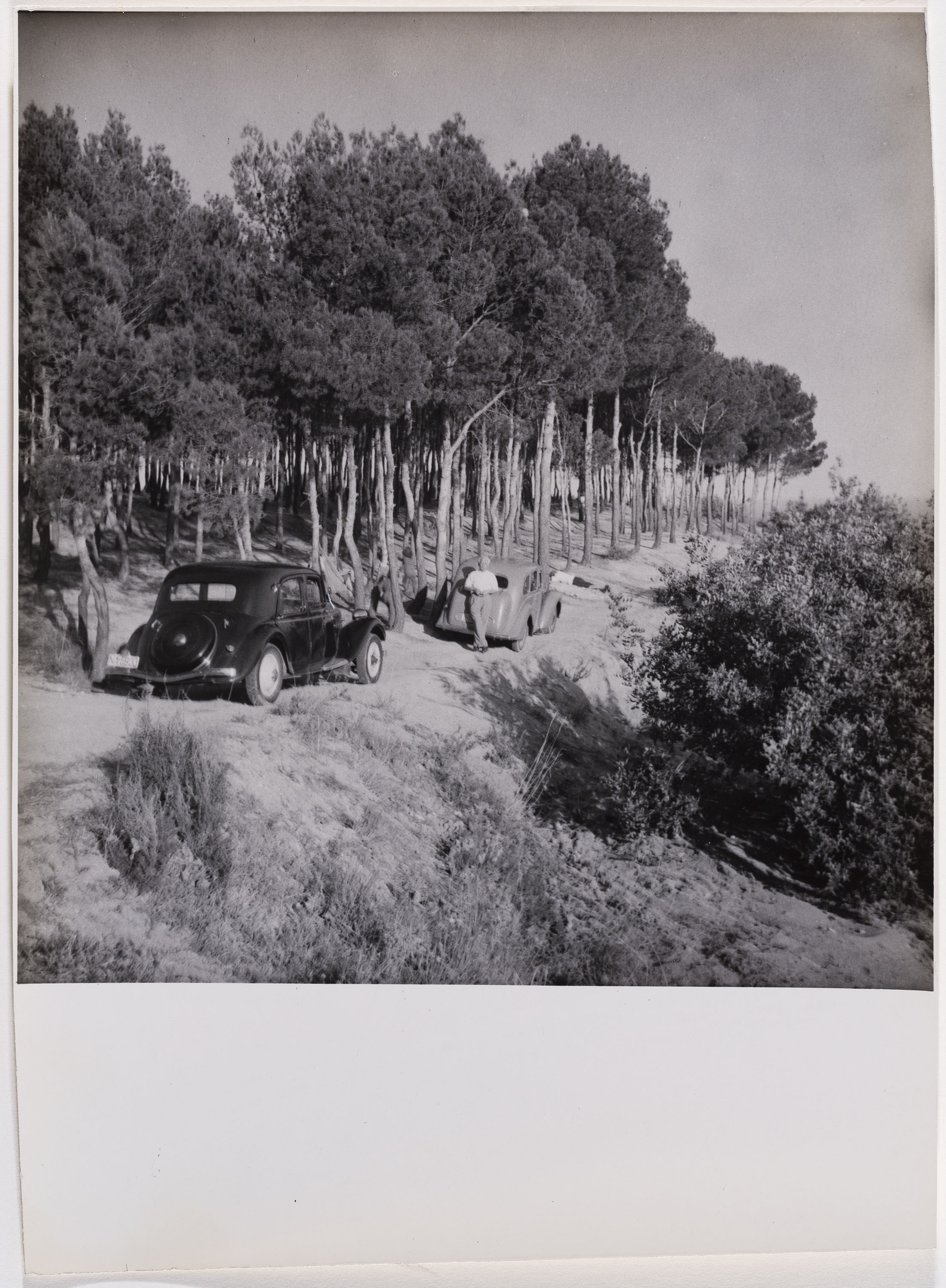 image for: Otho Lloyd - Paisatge - Cap a 1944-1950