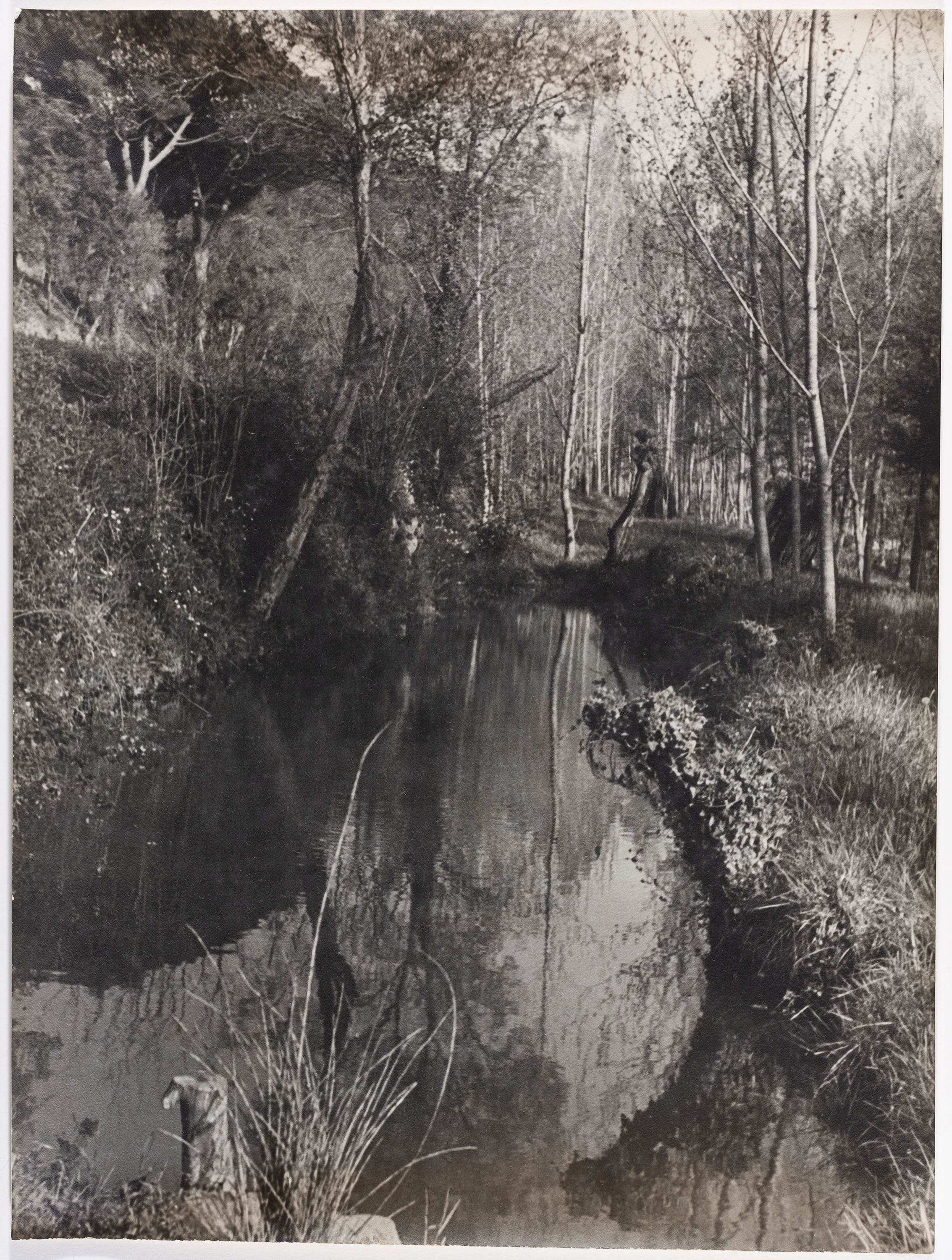 image for: Otho Lloyd - Paisatge - Cap a 1944-1950