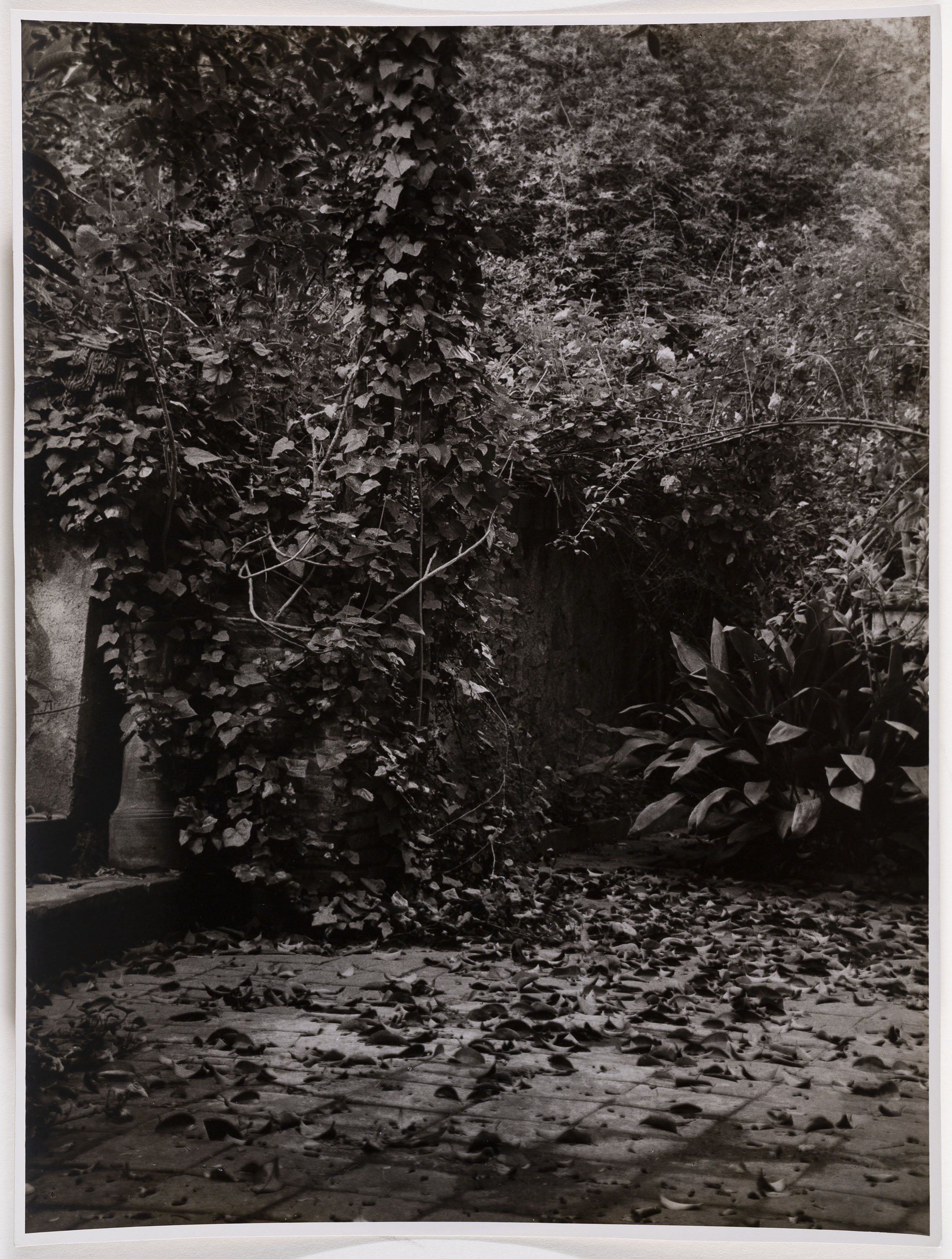image for: Otho Lloyd - Paisatge - Cap a 1944-1950
