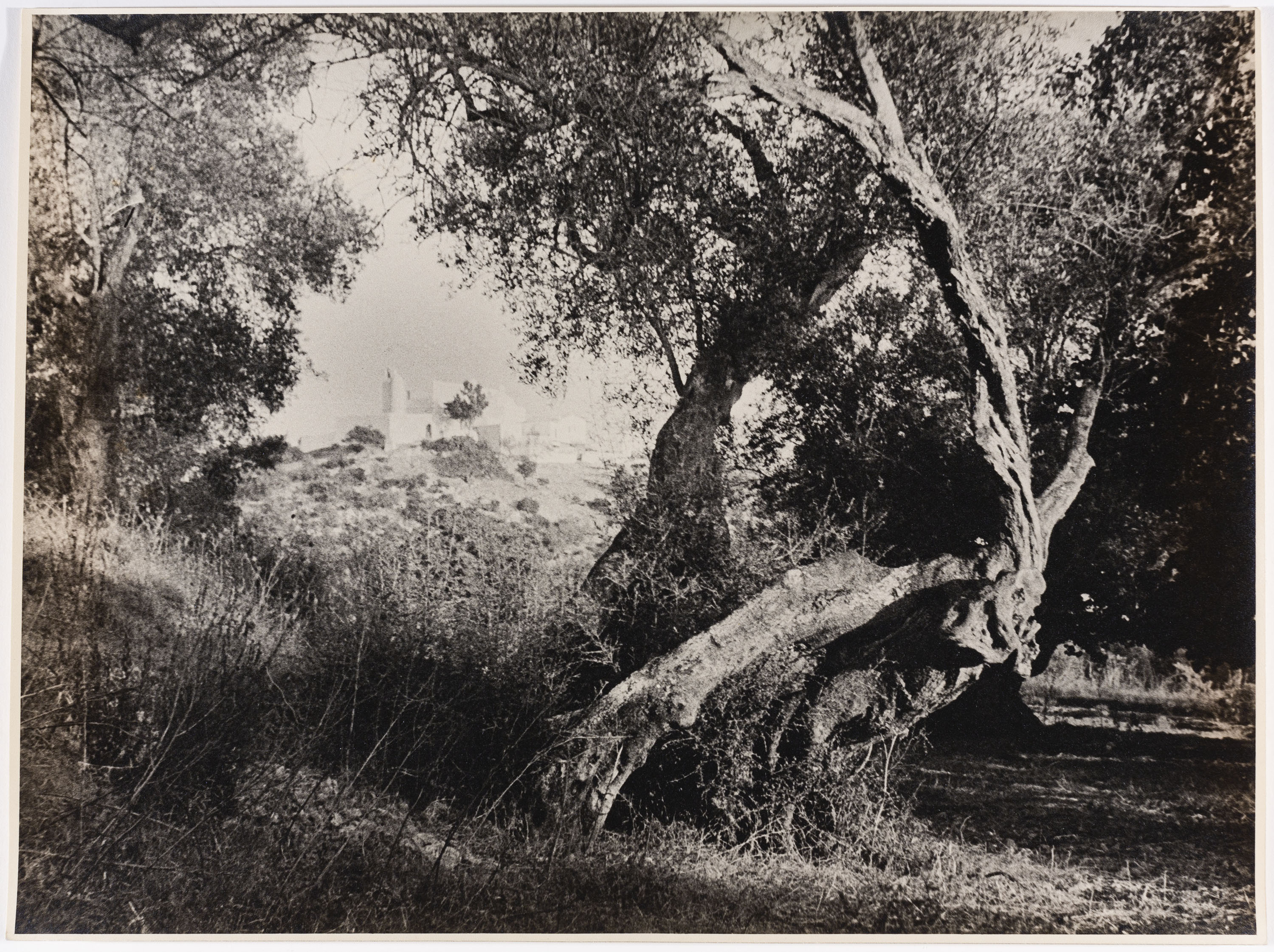 image for: Otho Lloyd - Paisatge - Cap a 1944-1950