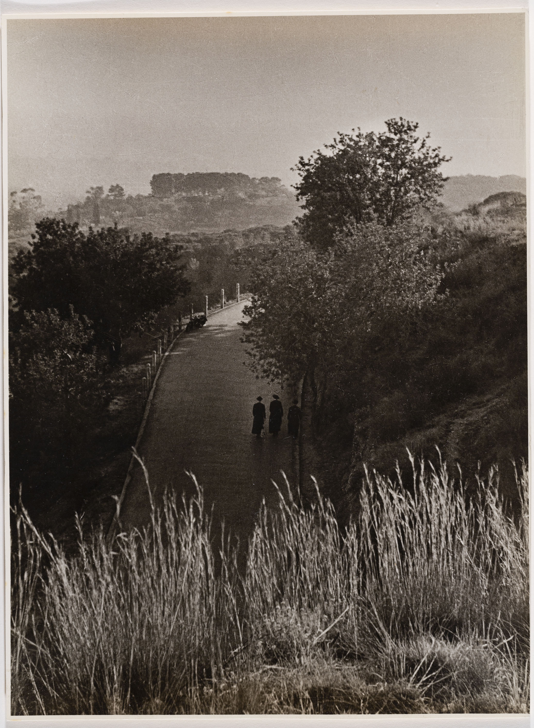 image for: Otho Lloyd - Paisatge - Cap a 1944-1950
